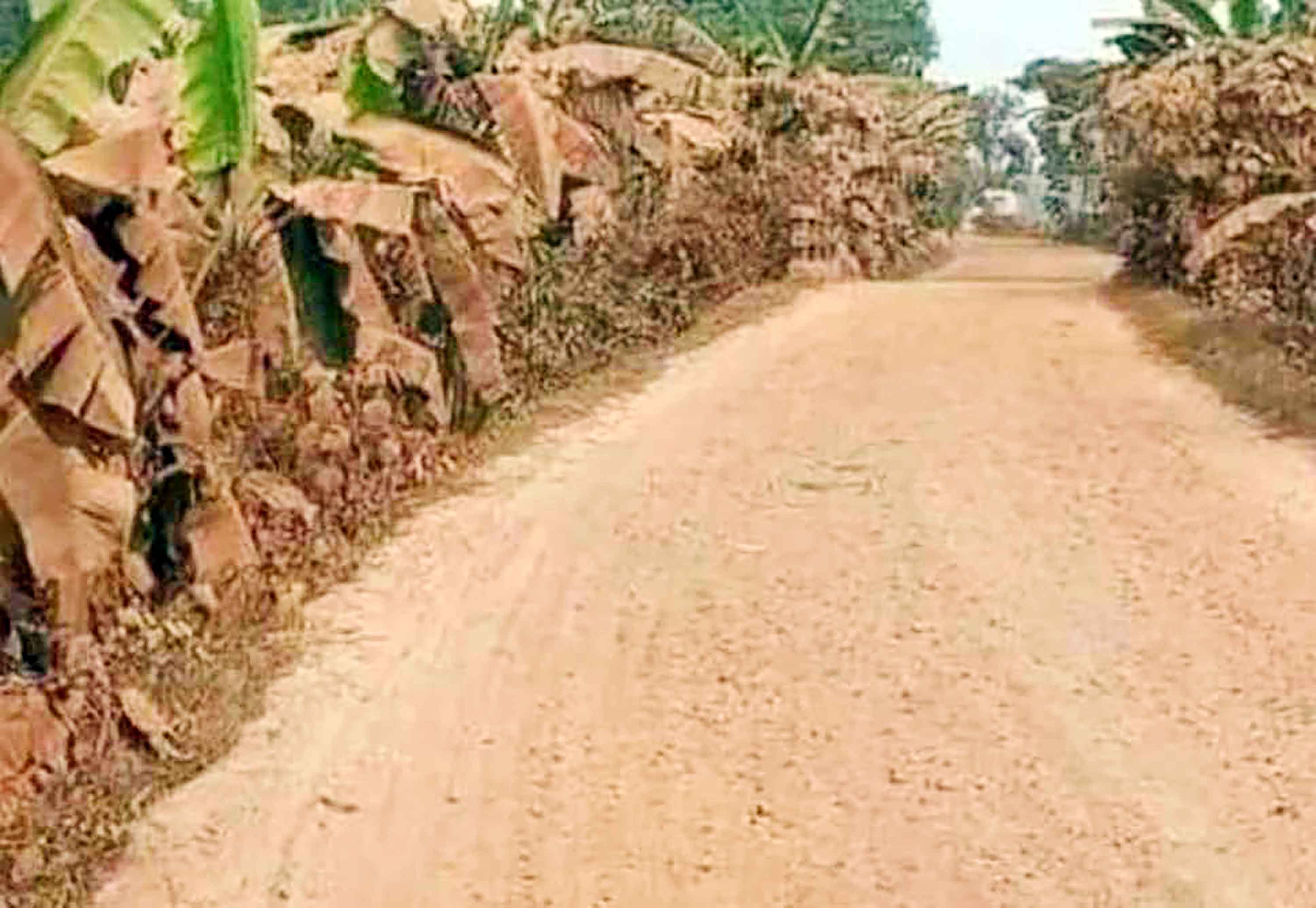 পাটকেলঘাটা-খলিশখালী রাস্তা যেন এক খন্ড মরুভূমি