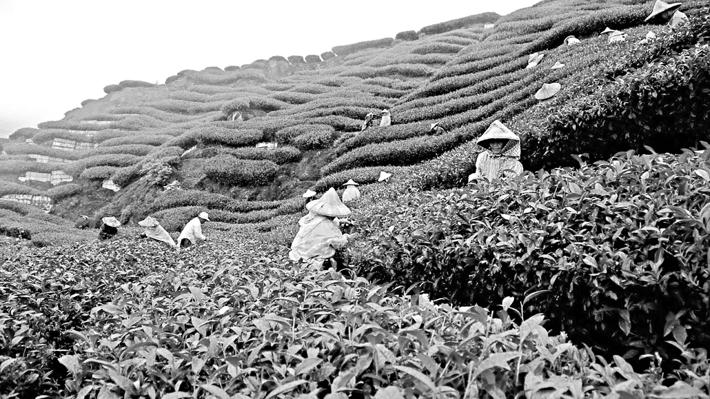 পঞ্চম শ্রেণির বাংলাদেশ ও বিশ্বপরিচয়