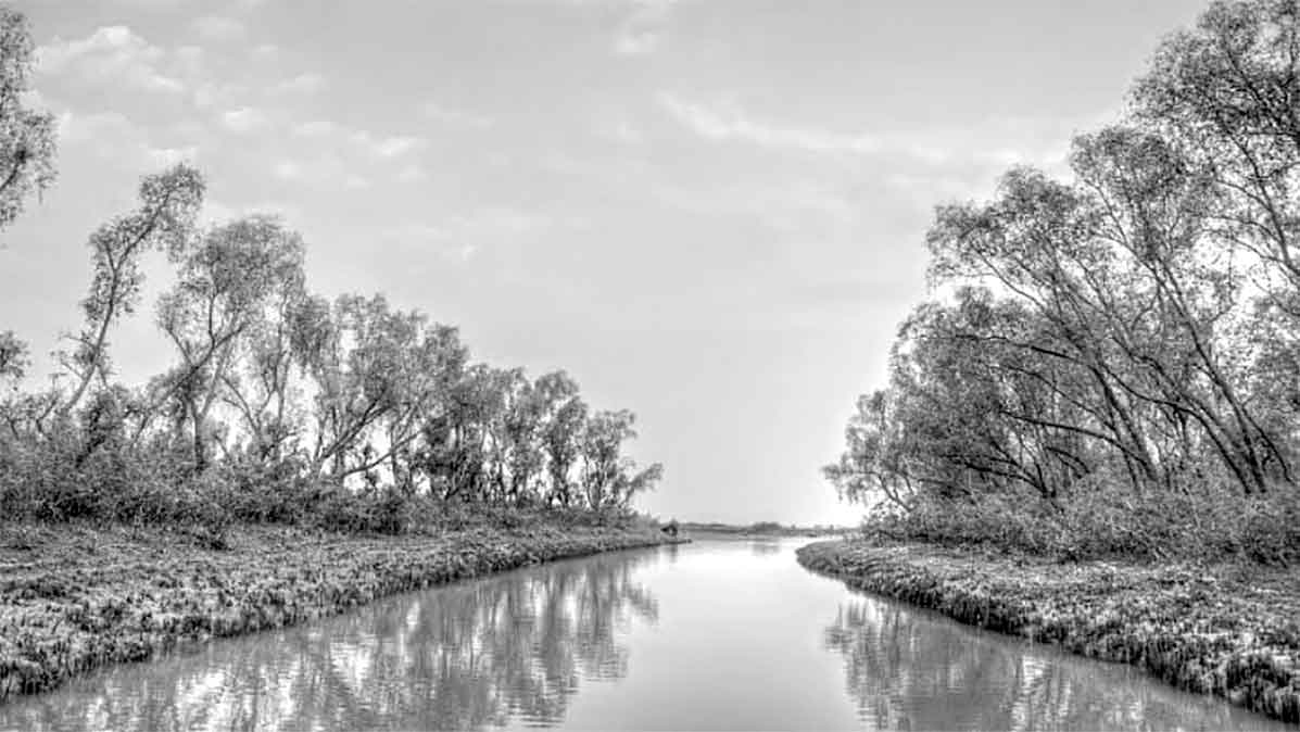 জানার আছে অনেক কিছু