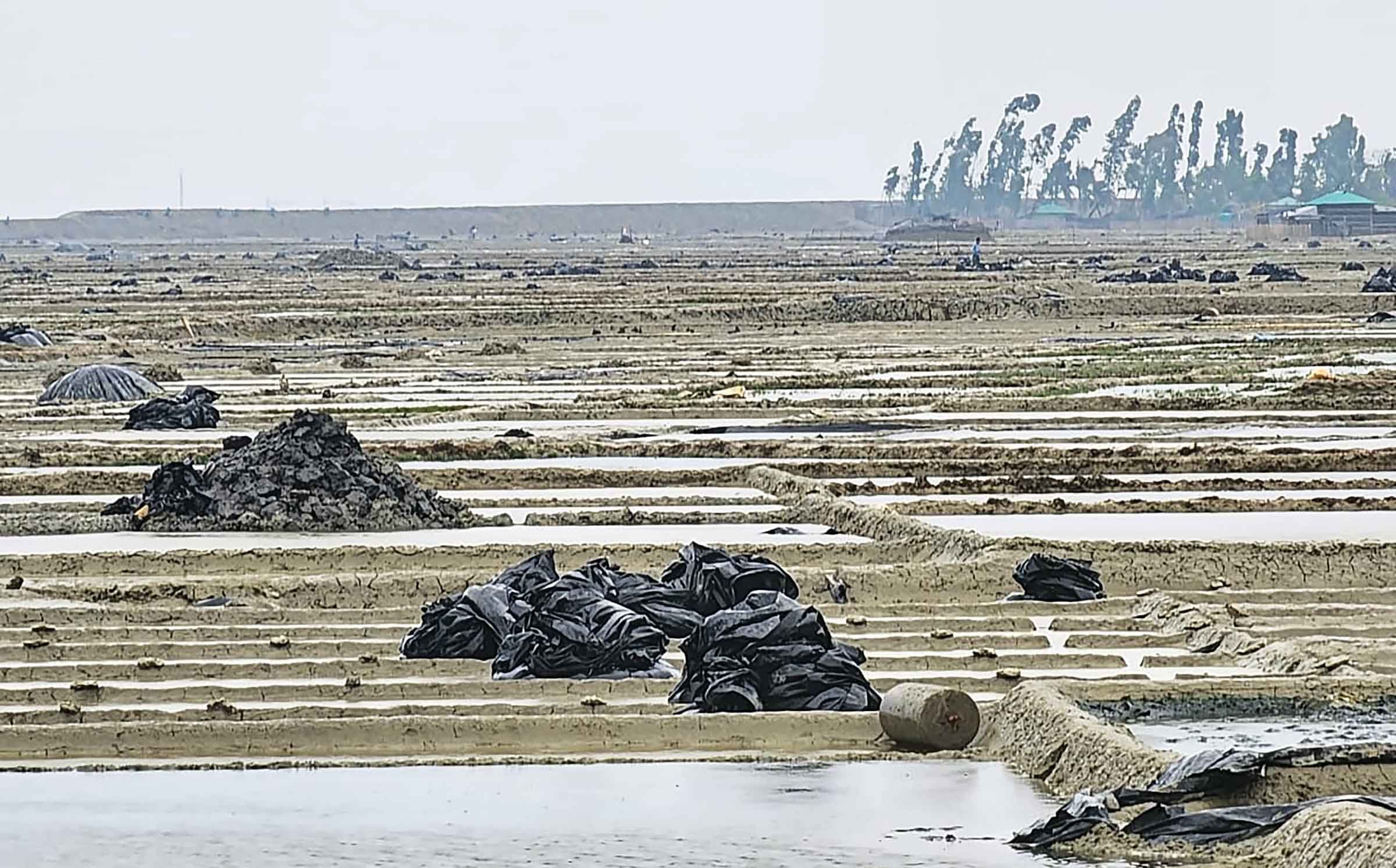 কালবৈশাখীতে থমকে গেছে কুতুবদিয়ার লবণ উৎপাদন