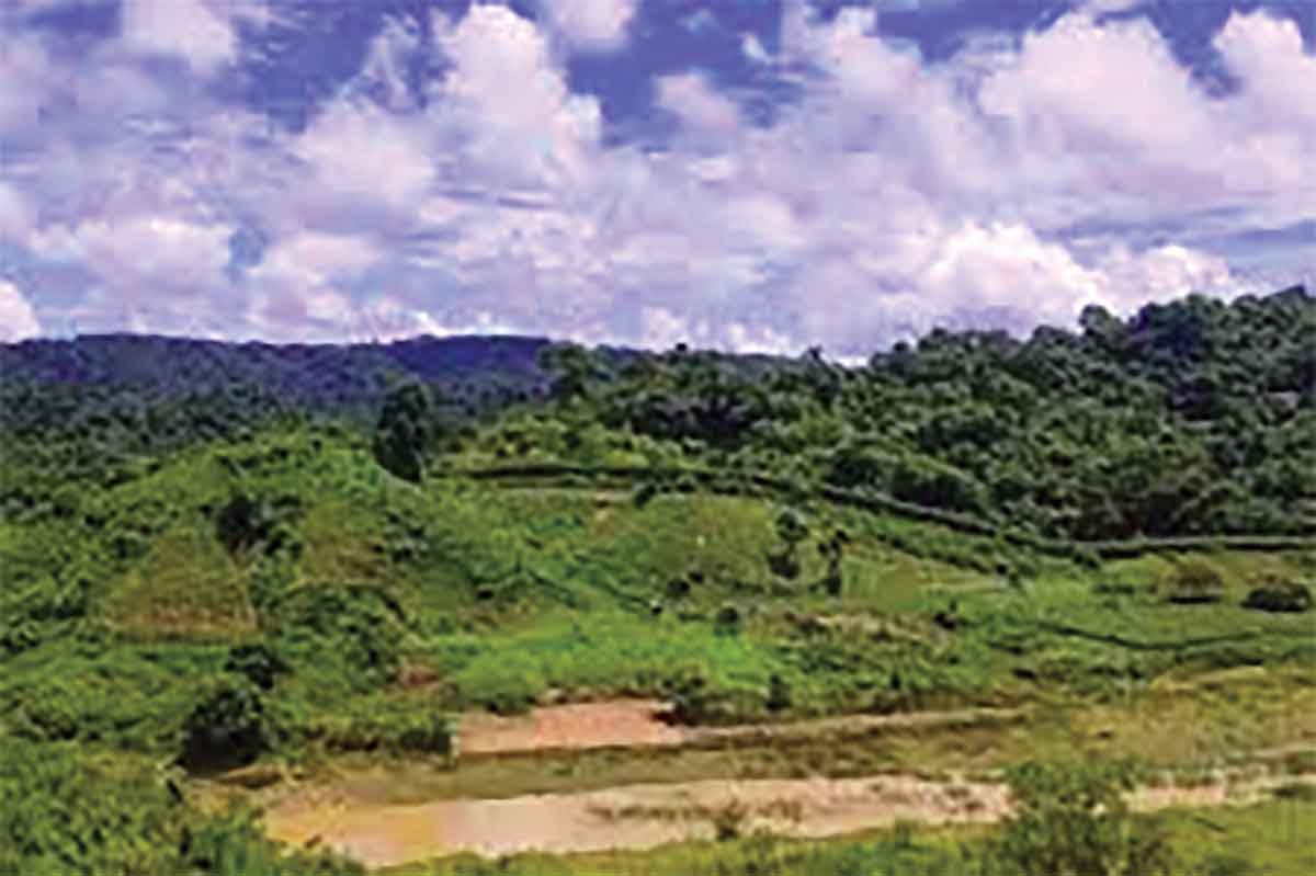 রাতে দুই ঘণ্টায় অর্ধশতাধিক বিস্ফোরণ, টেকনাফে আতঙ্ক