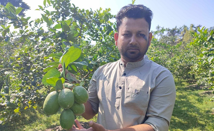 চায়না-থ্রি সুগন্ধি লেবু চাষে সফল শার্শার জাহাঙ্গীর