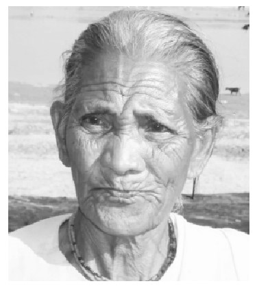 টংক আন্দোলনের নেত্রী কুমুদিনী হাজং আর নেই