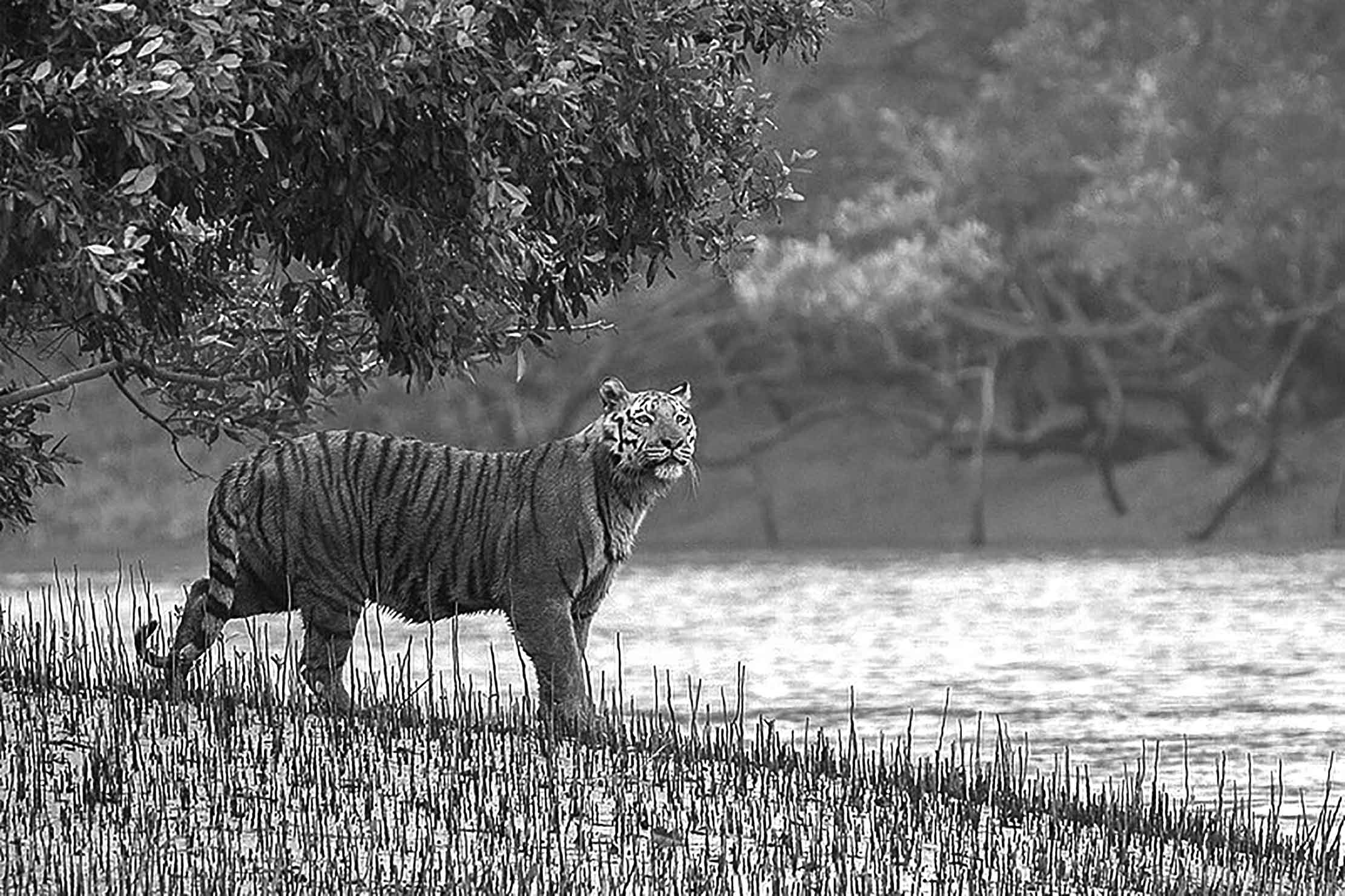 ইতিহাস ও ঐতিহ্য