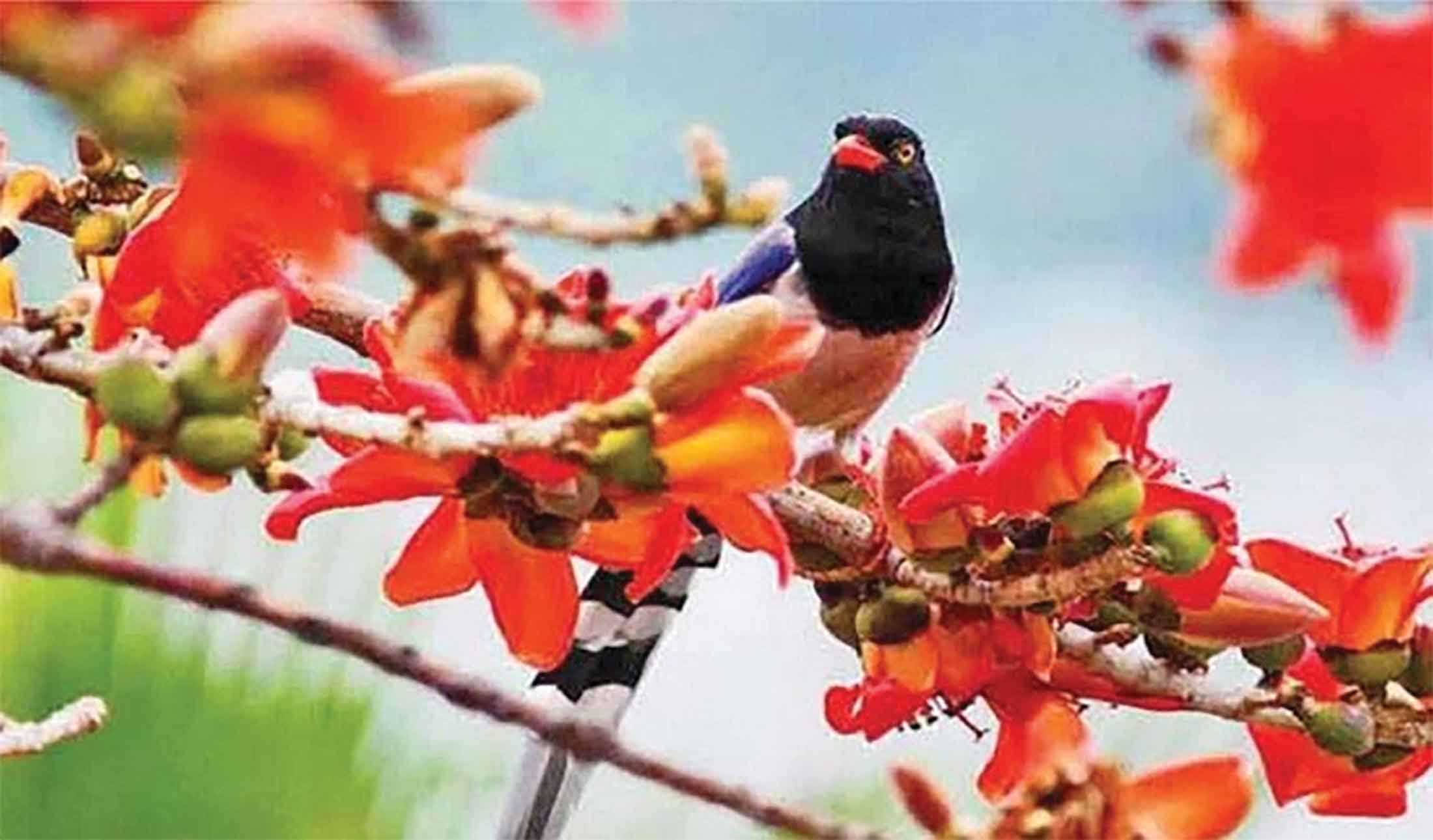 বসন্ত মানেই নতুনেরে আহ্বান