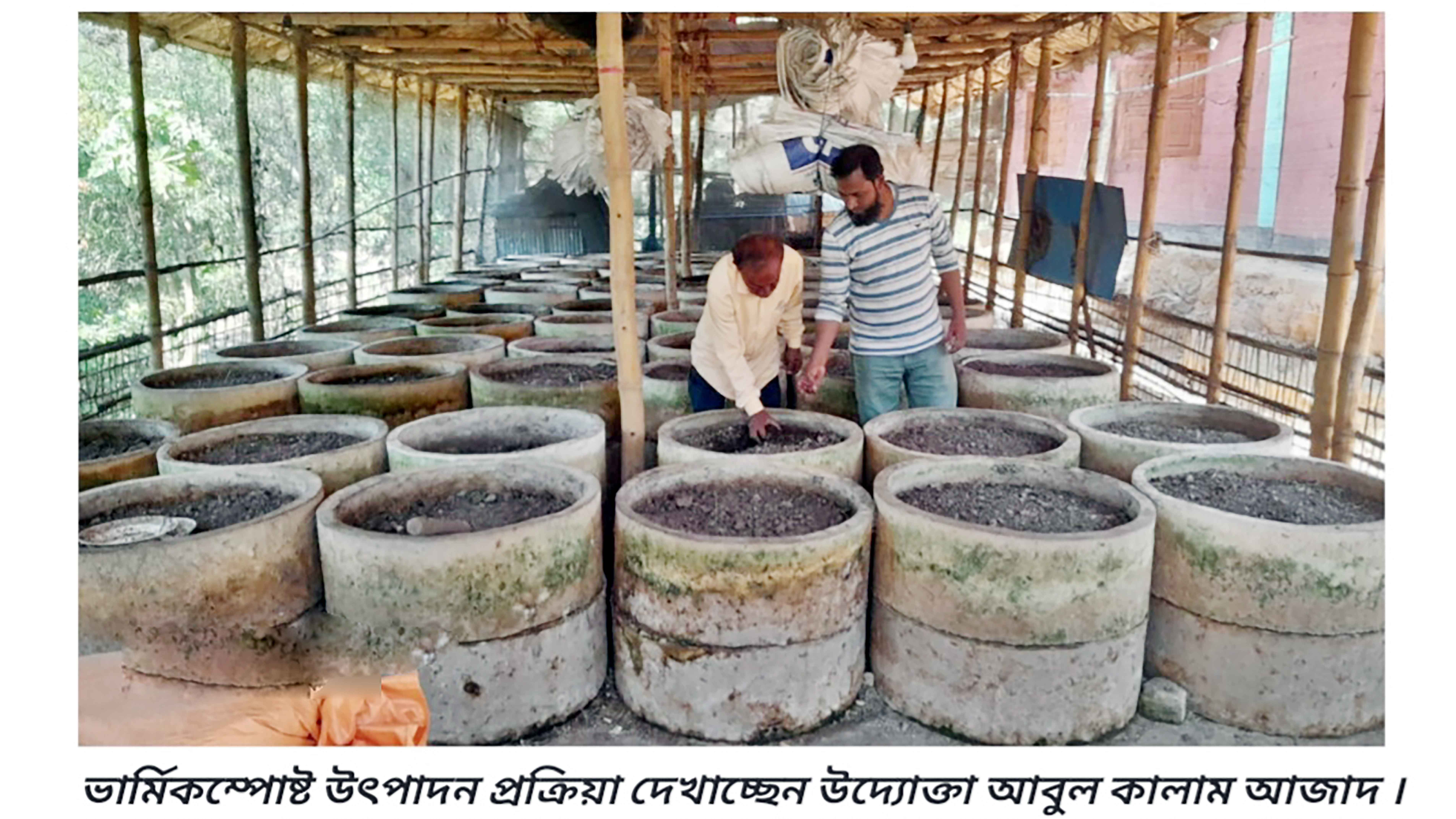 ভার্মি কম্পোস্ট সার উৎপাদনে সফলতা