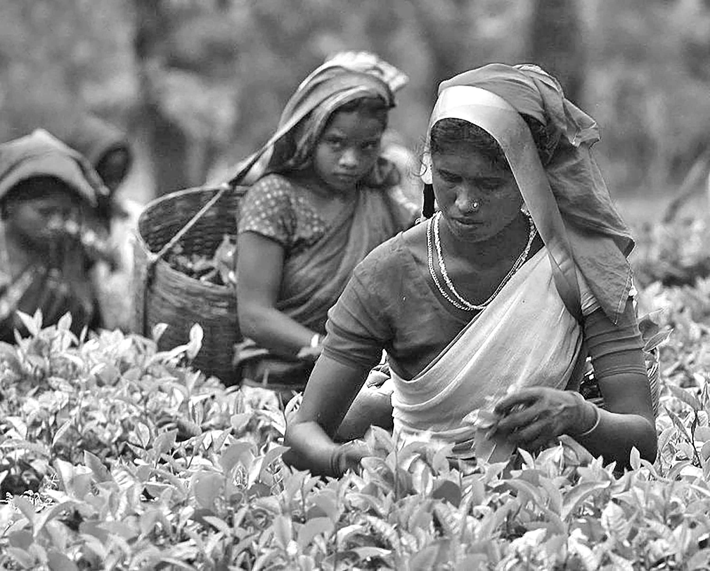 পঞ্চম শ্রেণির বাংলাদেশ ও বিশ্বপরিচয়