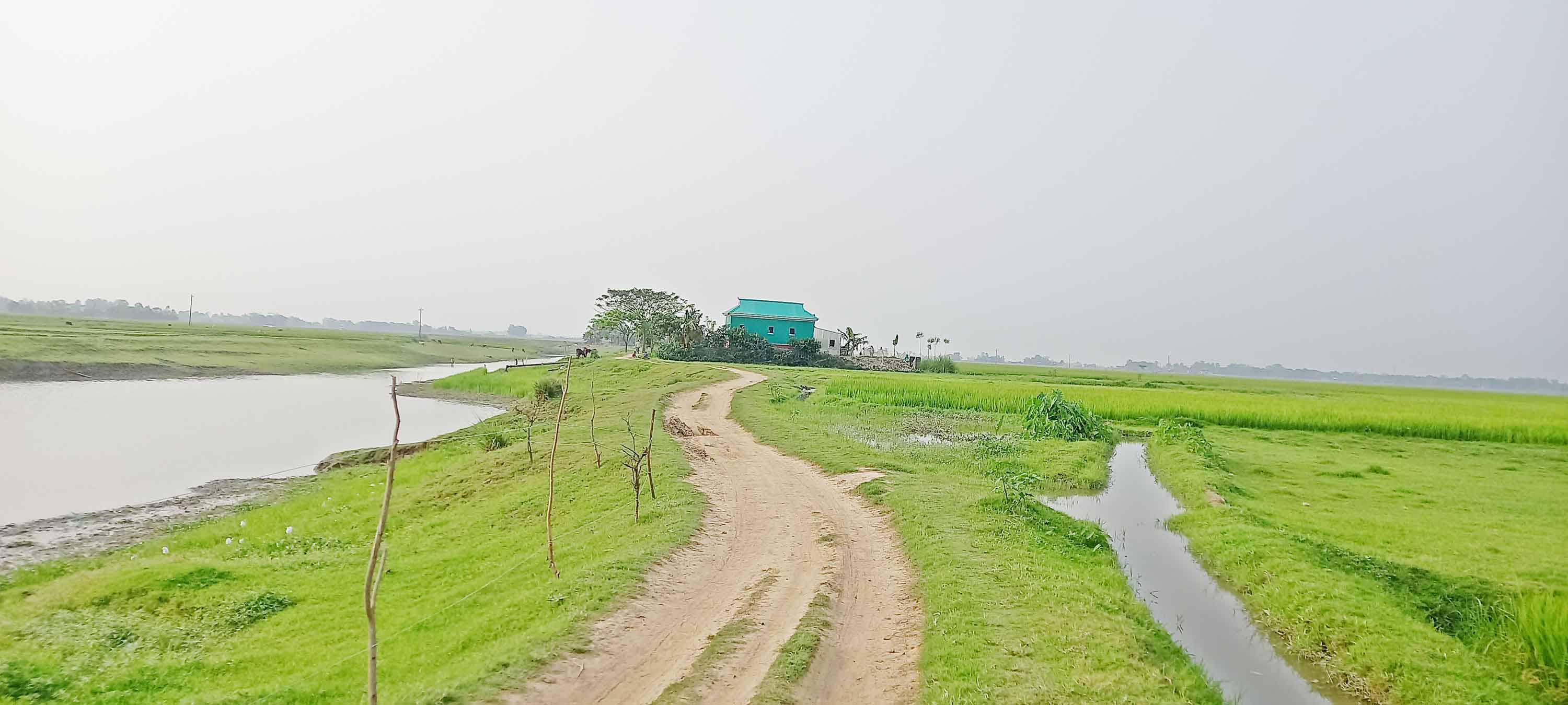 'বর্ষায় নাও, আর হেমন্তে পাও'