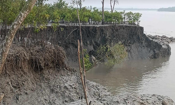 সুন্দরবনের কপোতাক্ষ নদের গাবুরা রক্ষা বাঁধে ভয়াবহ ভাঙ্গন