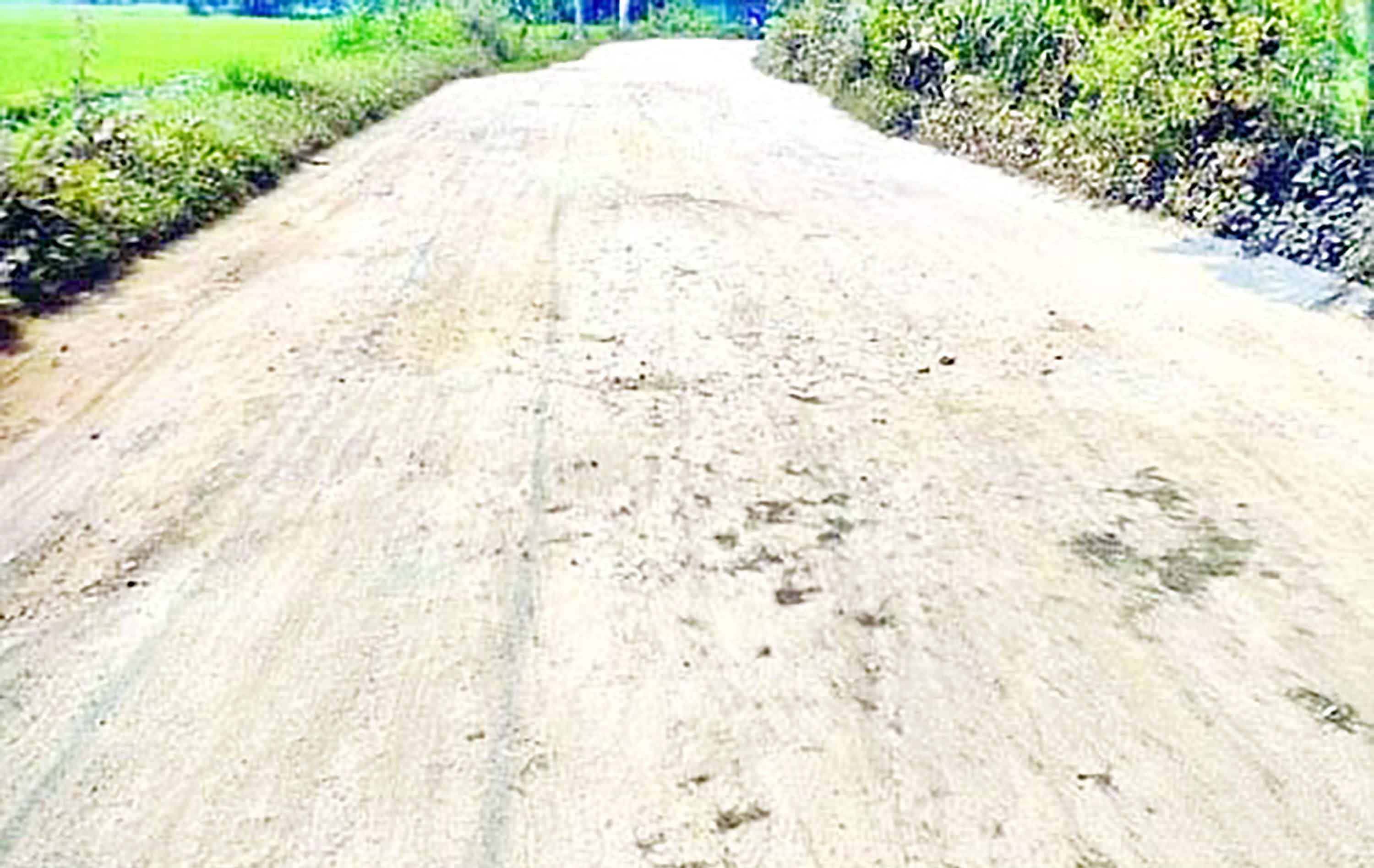 আড়াইহাজারে চার বছরেও শেষ হয়নি রাস্তার সংস্কার কাজ