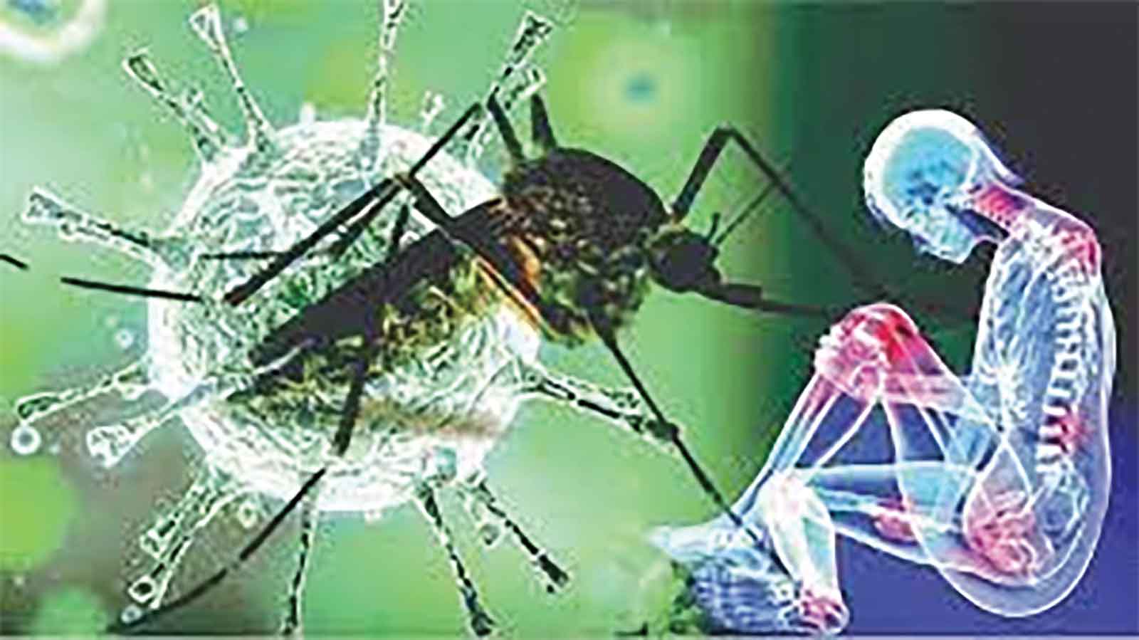 মশাবাহিত রোগের ঝুঁকিতে বিশ্বের অর্ধেকের বেশি মানুষ :গবেষণা