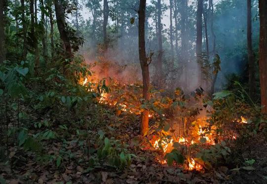 শেরপুরের সীমান্তবর্তী গারো পাহাড়ের সবুজ বন আগুনে পুড়ছে