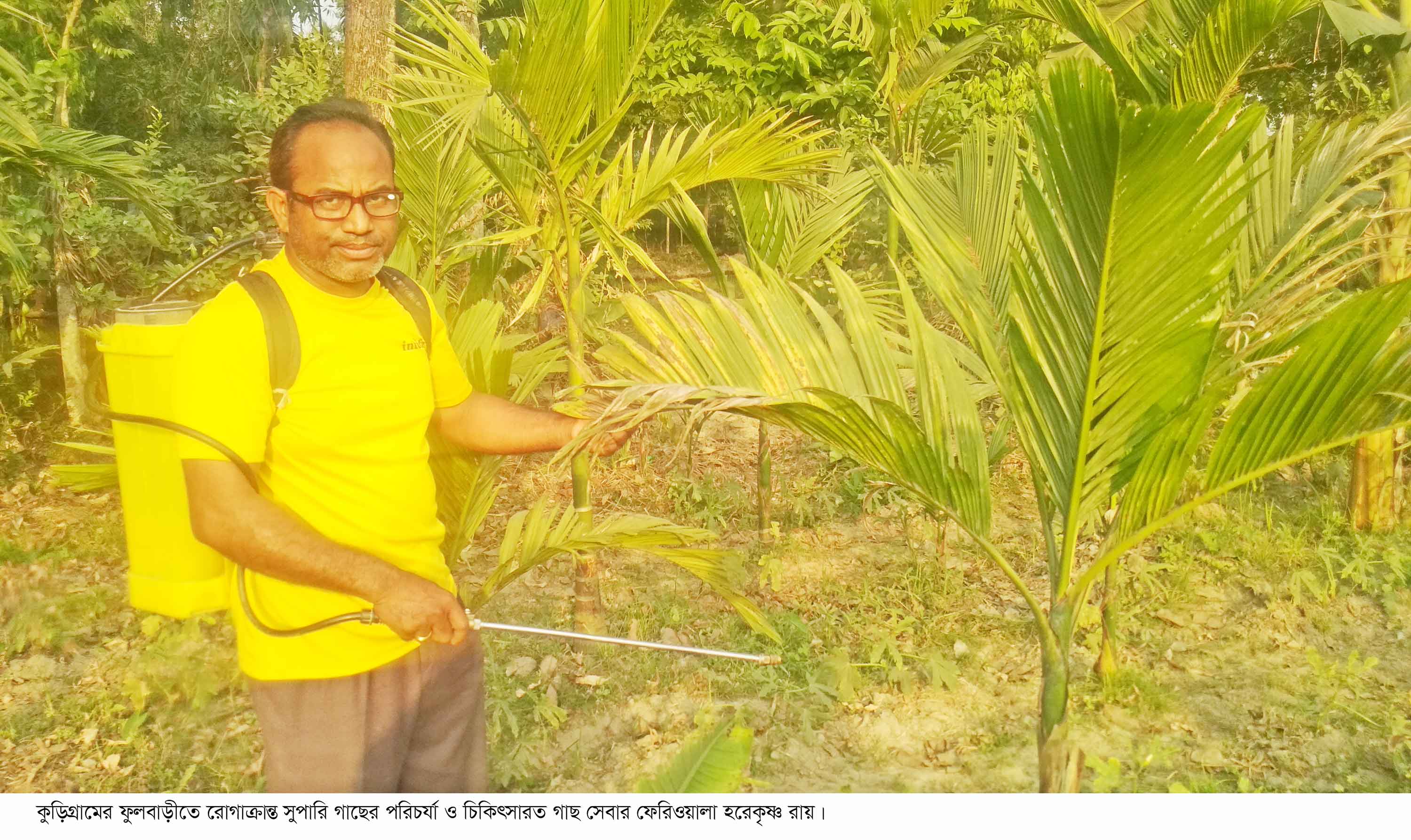 যেখানেই রোগাক্রান্ত গাছের কথা শোনেন সেখানেই ছুটে যান ফুলবাড়ীর হরেকৃষ্ণ