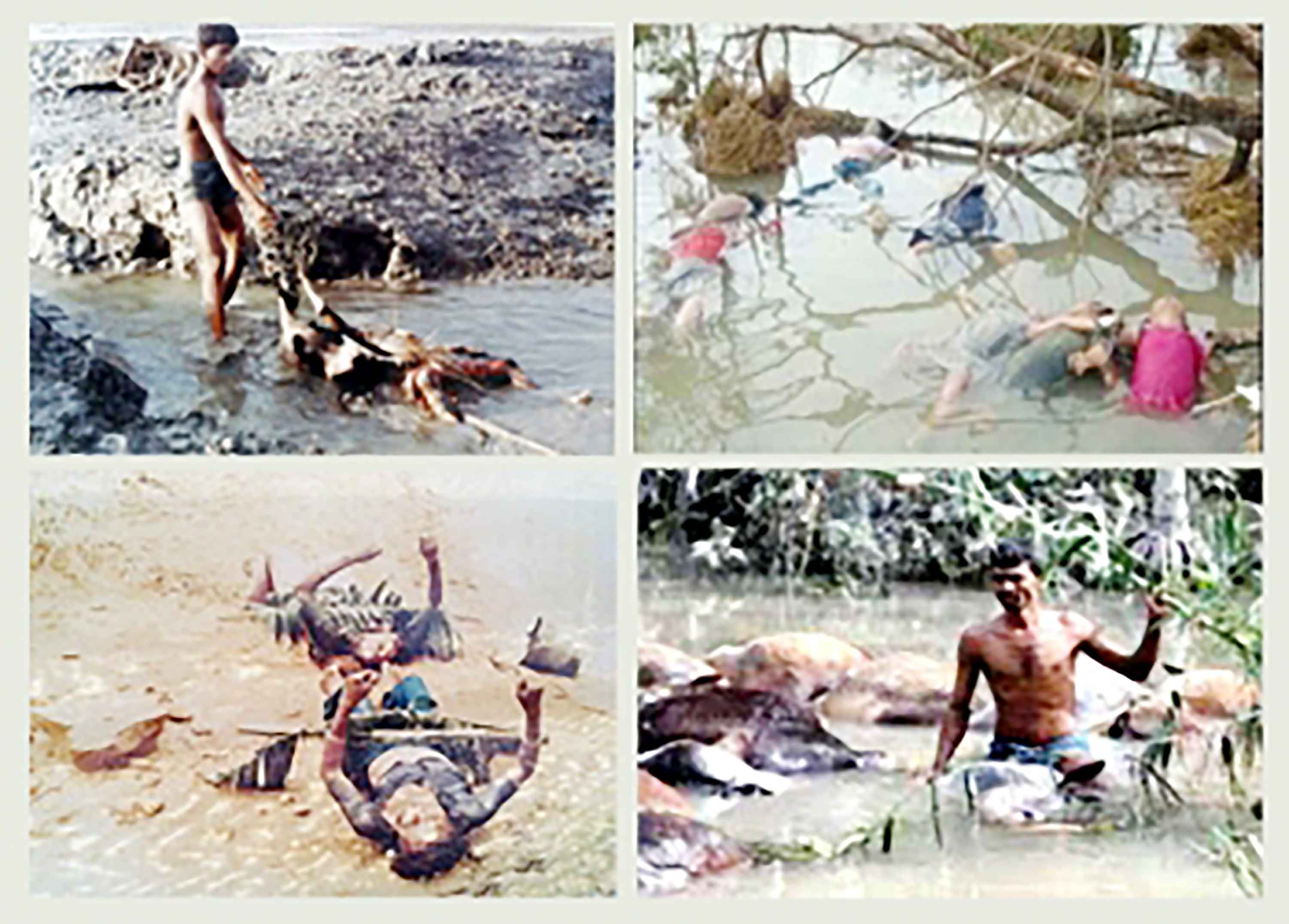 স্বজন হারানোর স্মৃতি এখনো ভুলেনি উপকূলবাসী