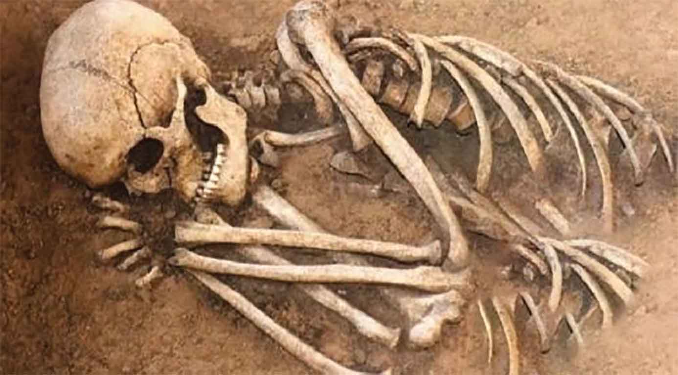 কঙ্কাল চুরি বন্ধে ব্যর্থতা কেন বেআইনি নয় :হাইকোর্ট