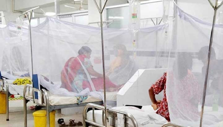 যে কারণে এ বছর জেলায় জেলায় ডেঙ্গু রোগী বাড়বে