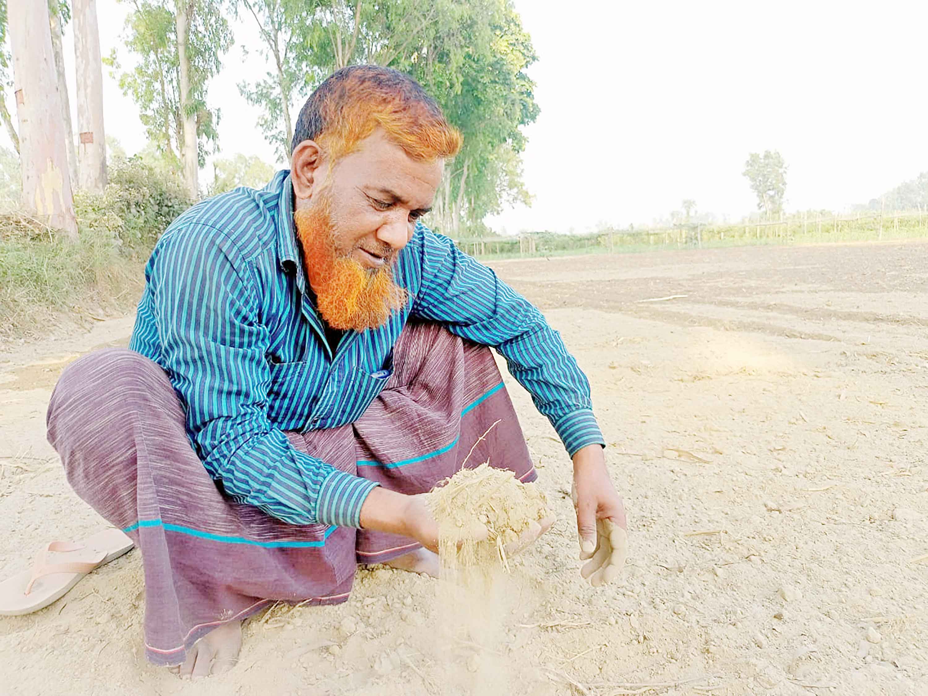 কৃষকের সঙ্গে উর্বর মাটির দূরত্ব কমাতে উদাসীন কৃষি বিভাগ