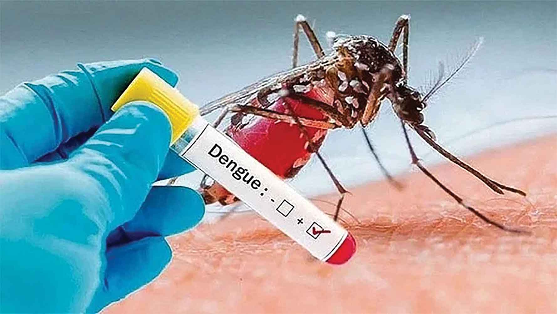 ধীরগতিতে বাড়ছে ডেঙ্গু রোগী