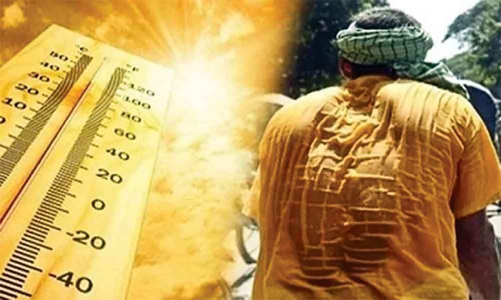 তাপপ্রবাহ প্রতিরোধে নীতি গ্রহণে নিষ্ক্রিয়তা কেন অবৈধ নয় হাইকোর্টের রুল
