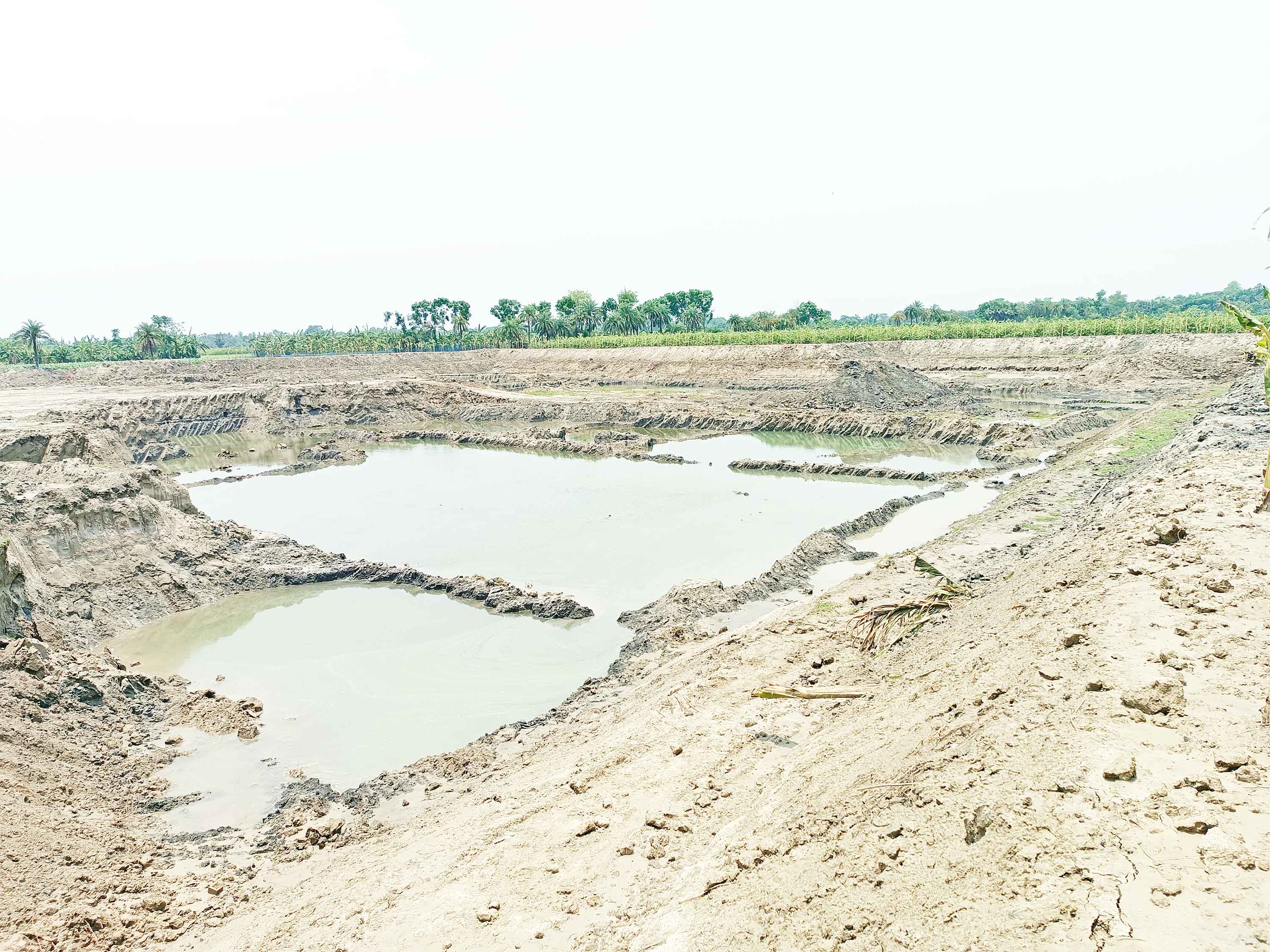 পুঠিয়ায় অবৈধ পুকুর খননে ধ্বংস হচ্ছে সড়ক-ফসলি জমি