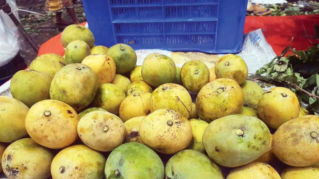 মৌসুমের 'আগে'ই বাজারে আম দামে বেশি, স্বাদে কম