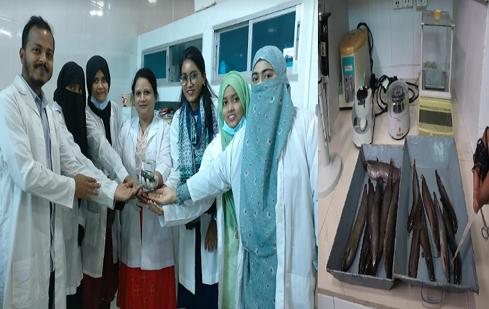 প্রথমবারের মতো দেশীয় শিং মাছের জিনোম সিকোয়েন্স উন্মোচন
