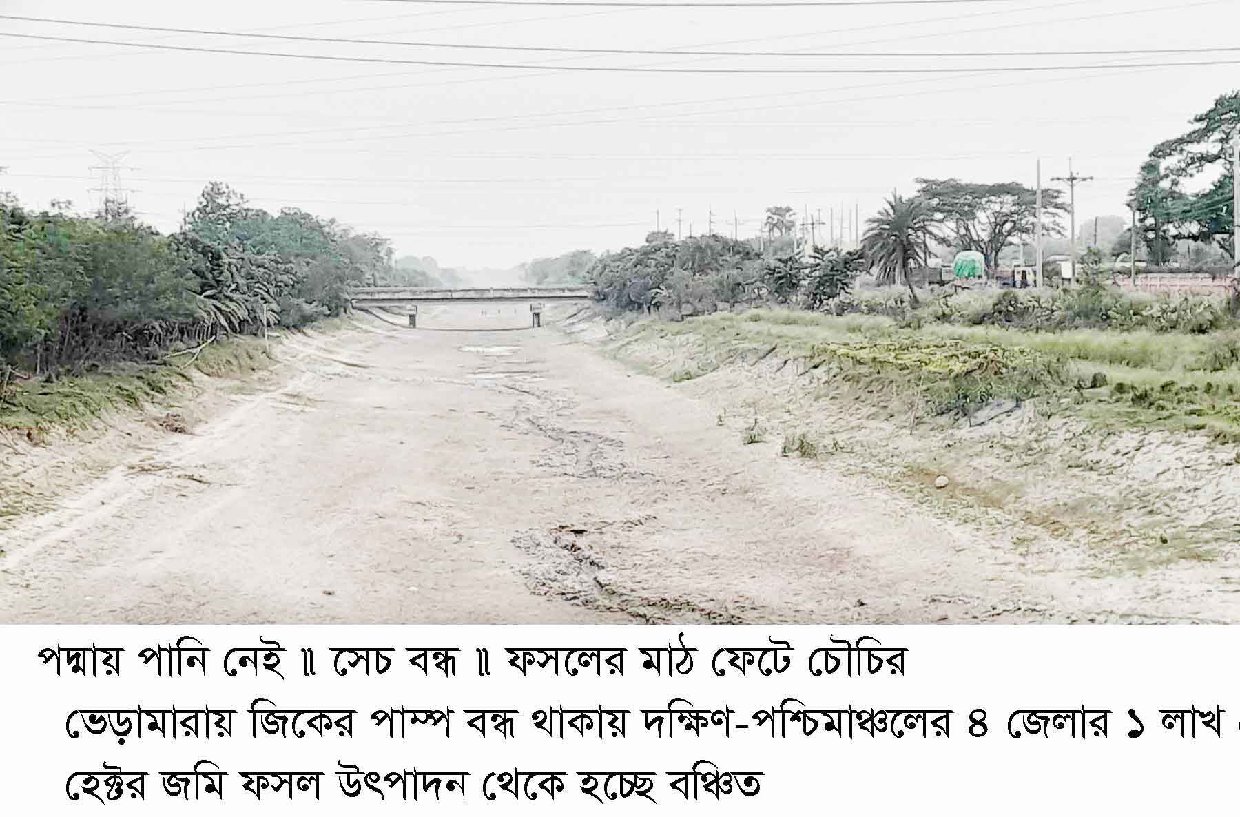 পদ্মায় নেই পানি, সেচ পাম্প বন্ধ ফসলের মাঠ ফেটে চৌচির