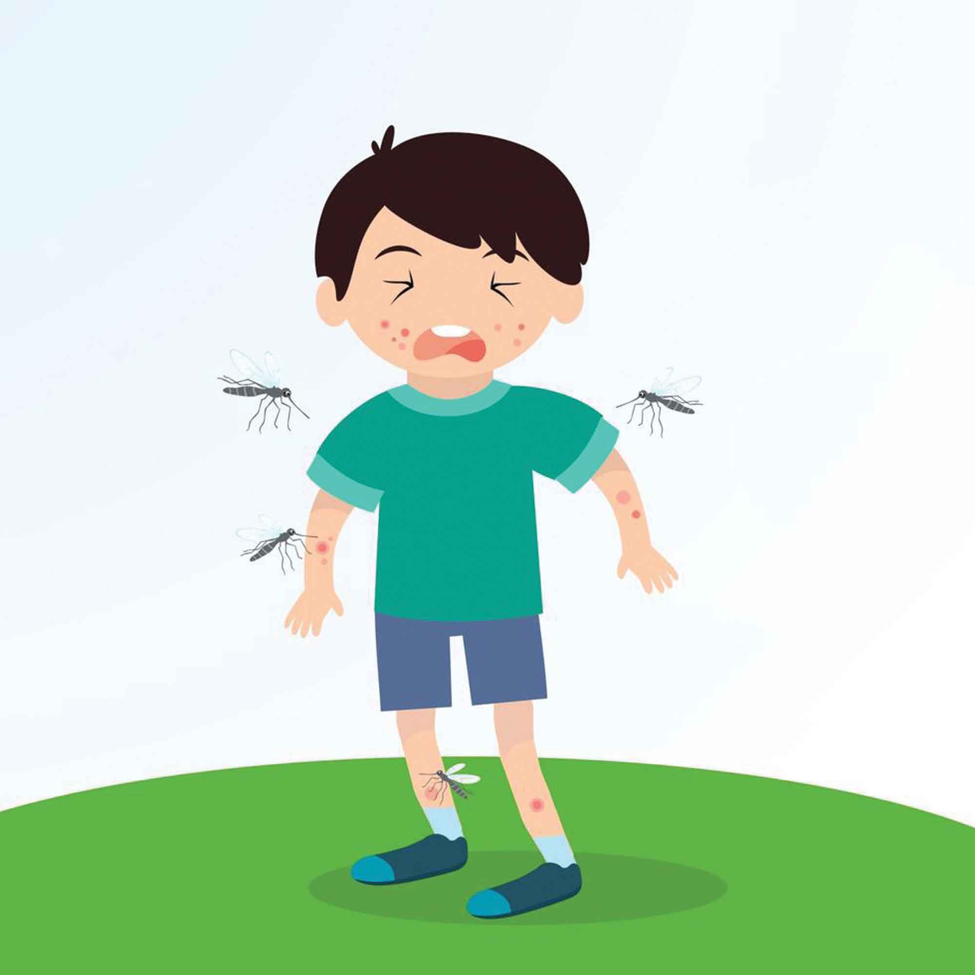 ডেঙ্গু মশার পরামর্শ
