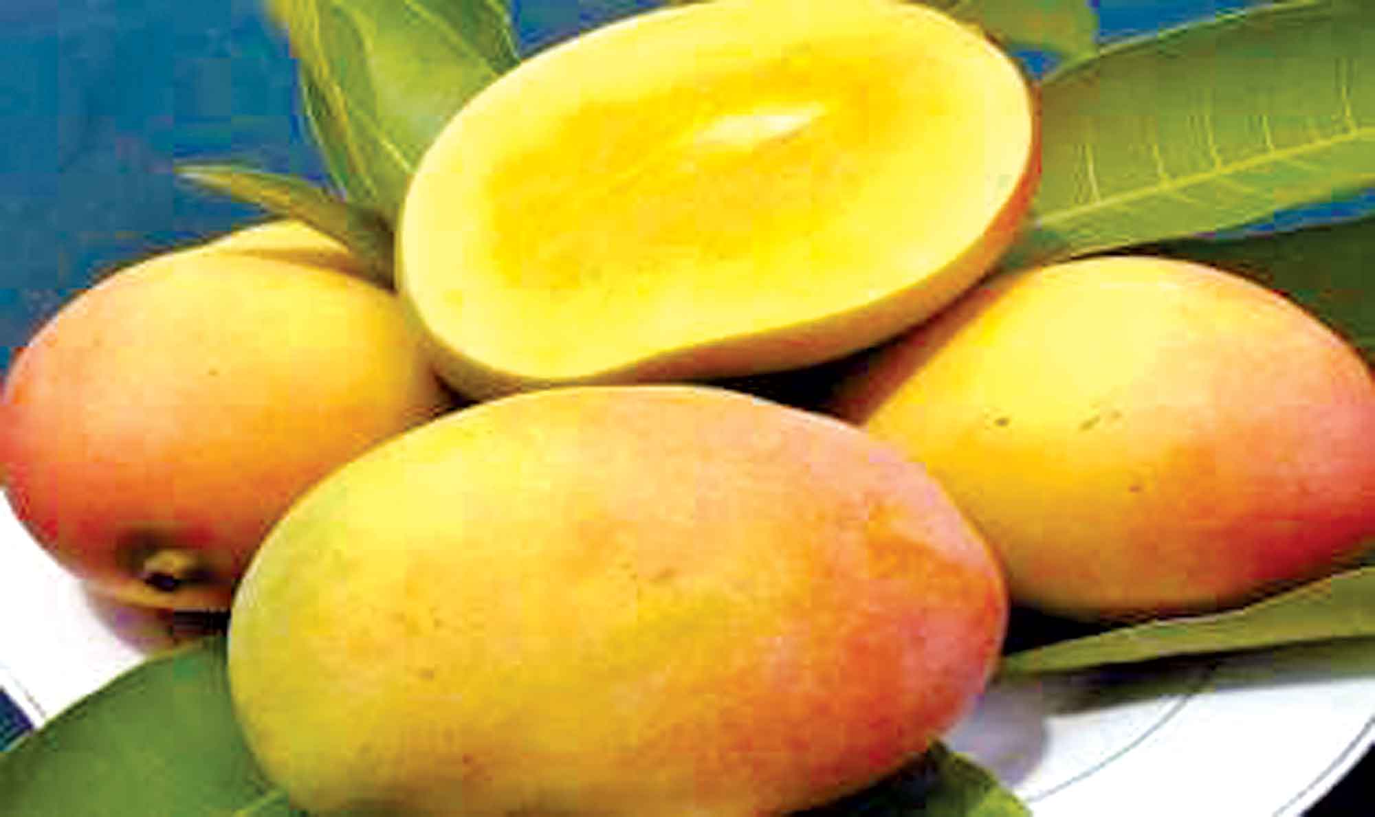 পাকা নয়, বিক্রি হচ্ছে কার্বাইড দিয়ে পাকানো আম