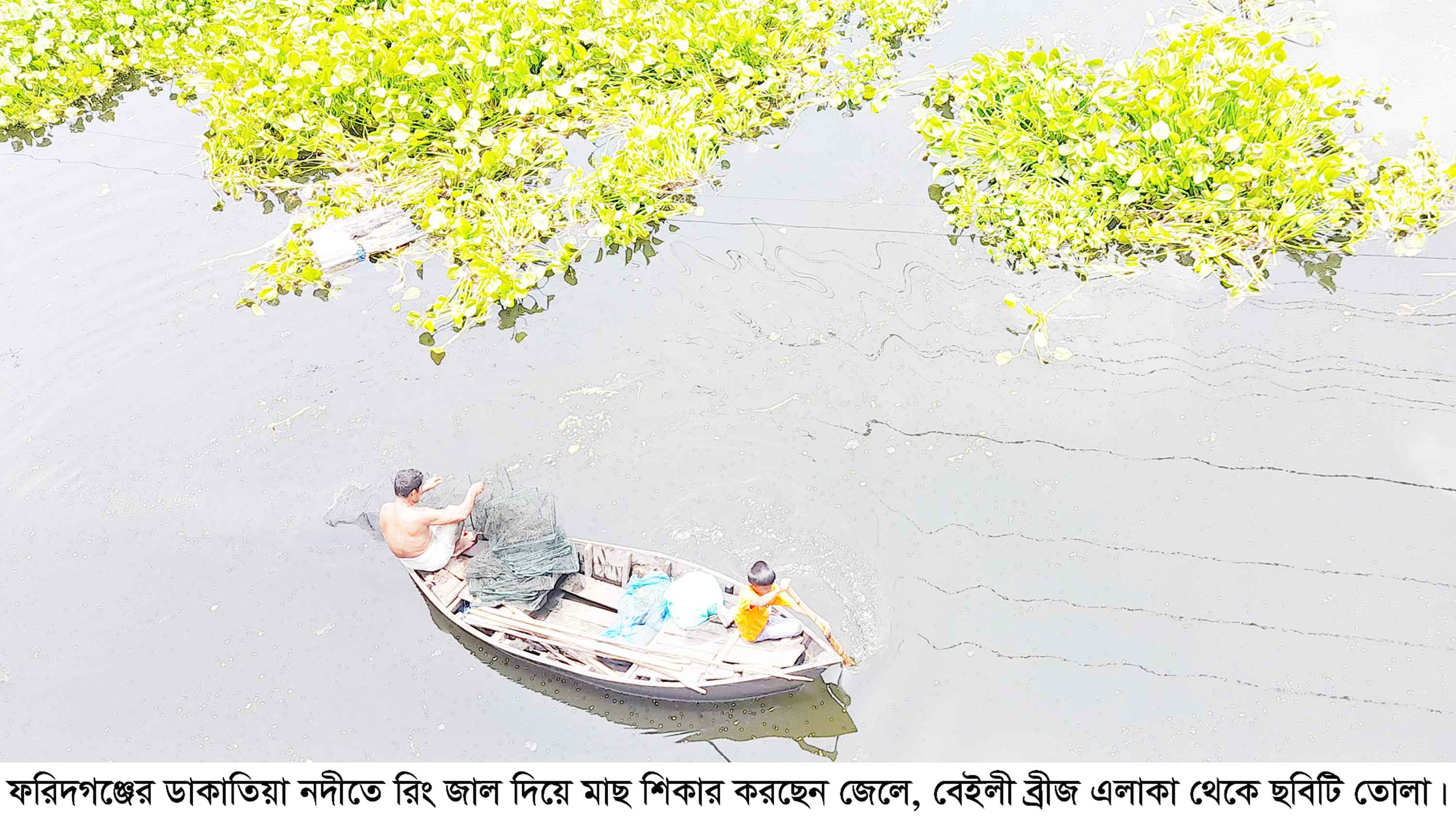 ফরিদগঞ্জে নিষিদ্ধ চায়না জালে চলছে মাছ নিধনের মহোৎসব