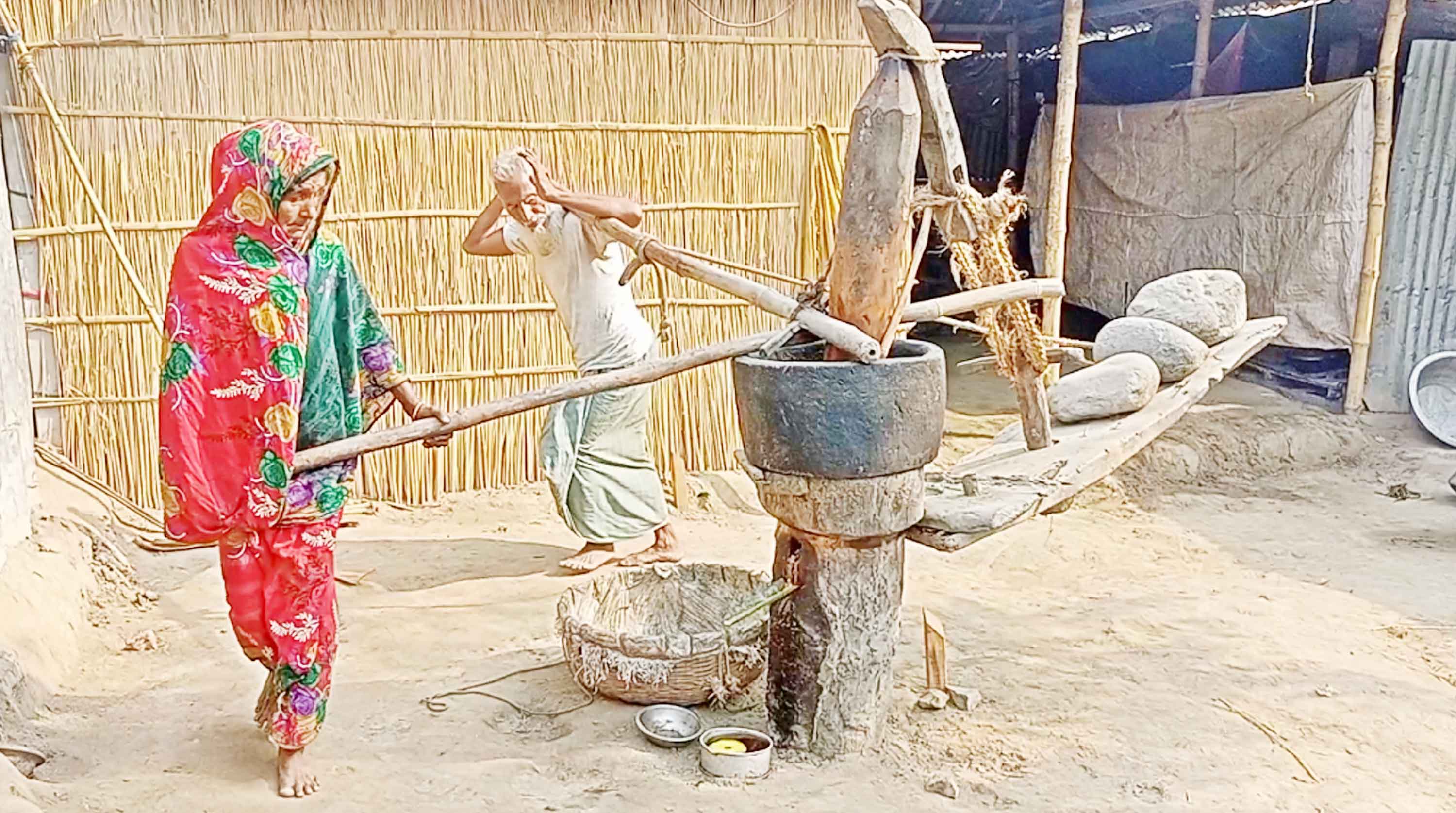 বৃদ্ধ দম্পতির কাঁধে জোয়াল না উঠলে জোটে না অন্ন