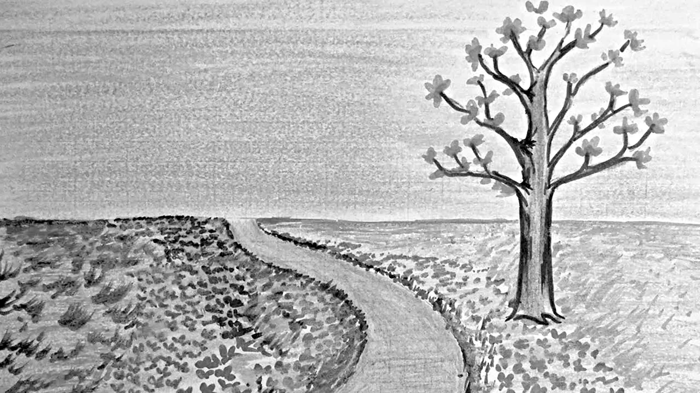 অষ্টম শ্রেণির বাংলা