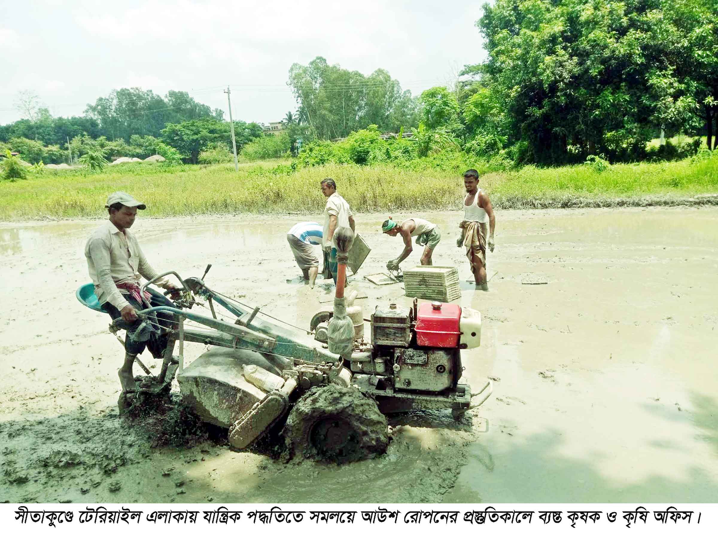 সীতাকুন্ডে প্রথমবার যান্ত্রিক পদ্ধতিতে আউশ ধানের চারা রোপণ