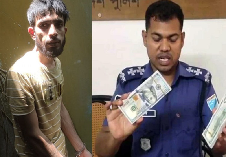 সেপটিক ট্যাংক থেকে ৩৬ হাজার ২০০ ডলার উদ্ধার, চোর আটক 