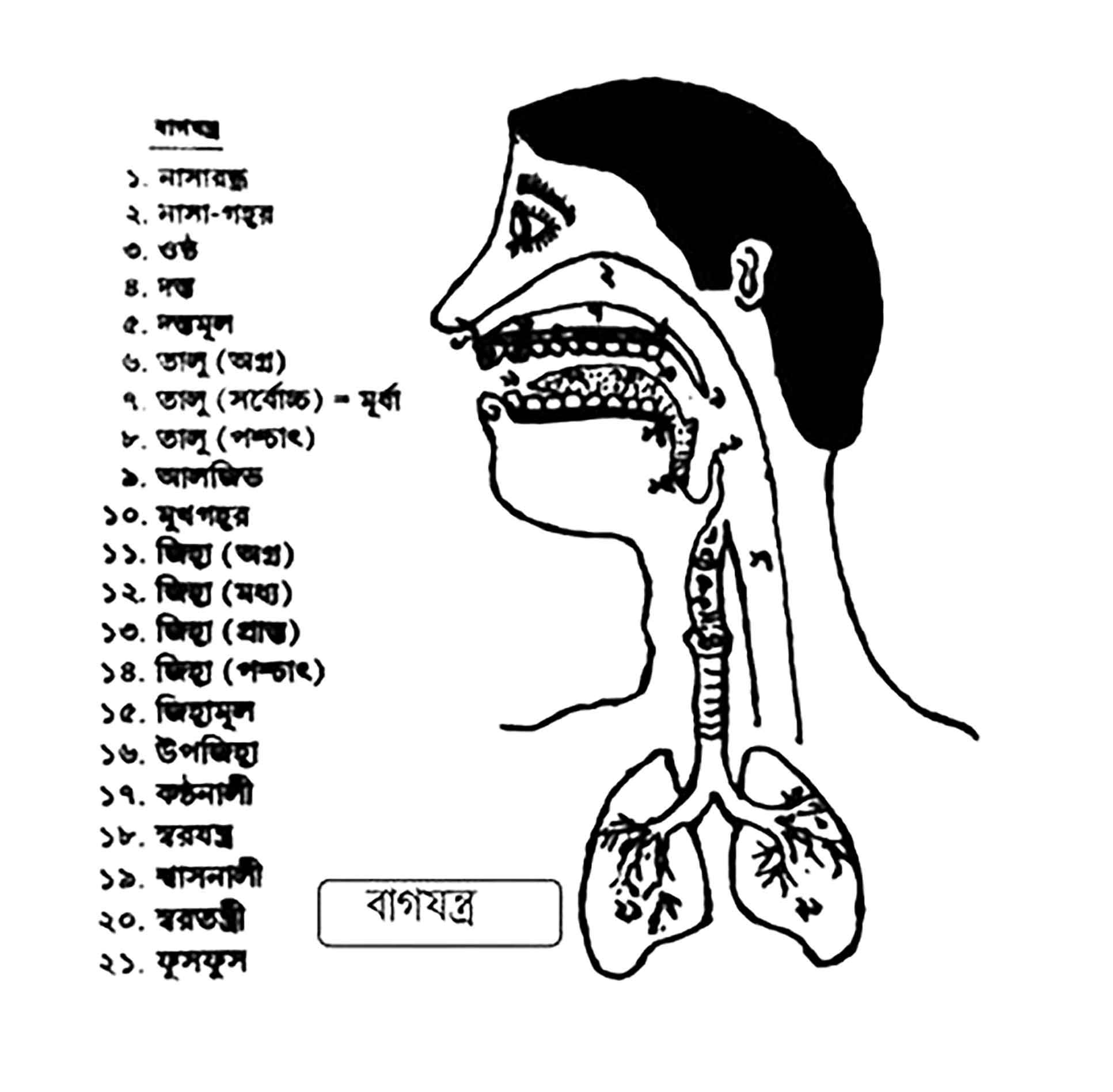দশম শ্রেণির বাংলা দ্বিতীয় পত্র