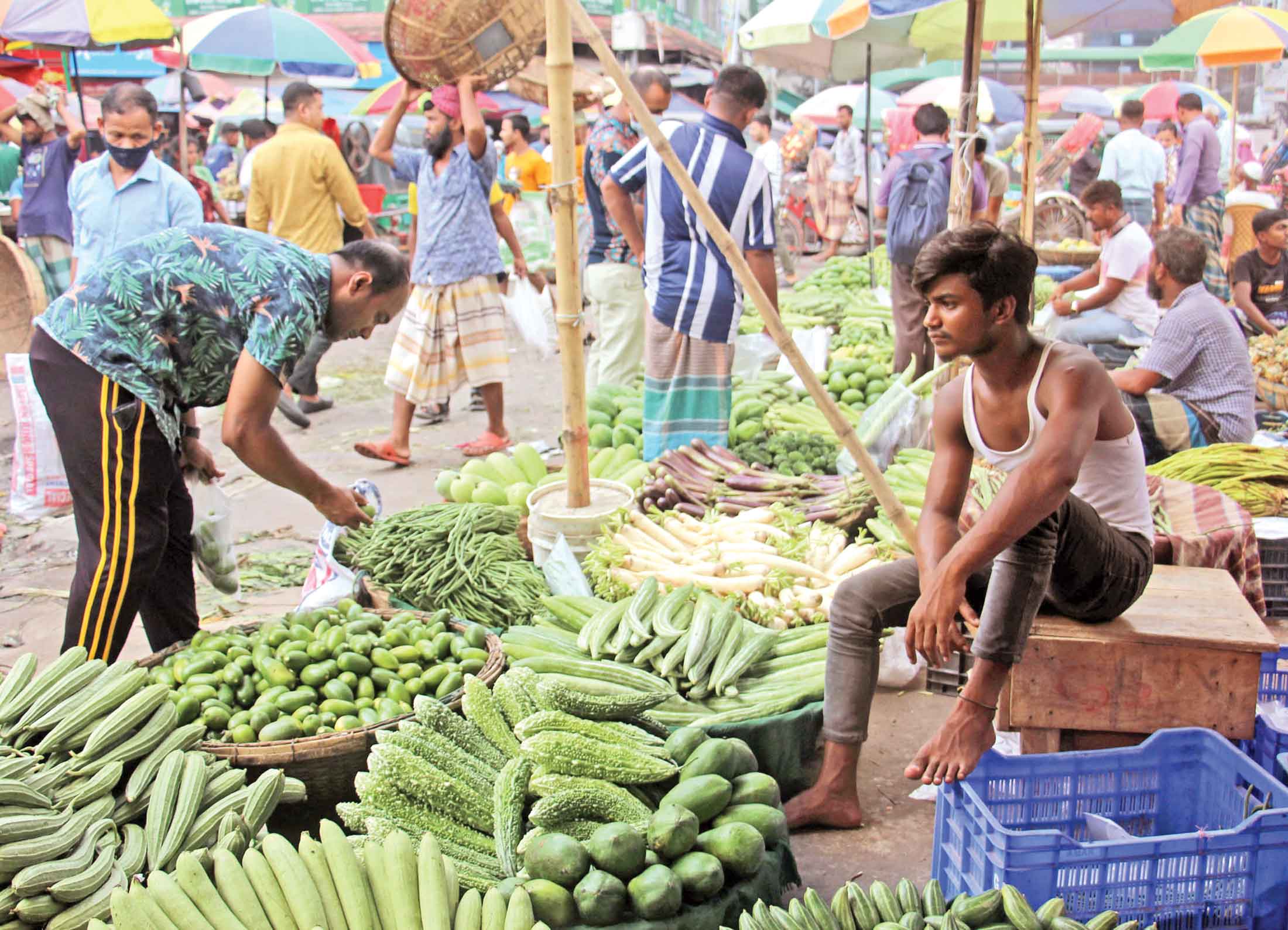কাঁচামরিচে 'ডবল সেঞ্চুরি' কমেছে সবজির দাম