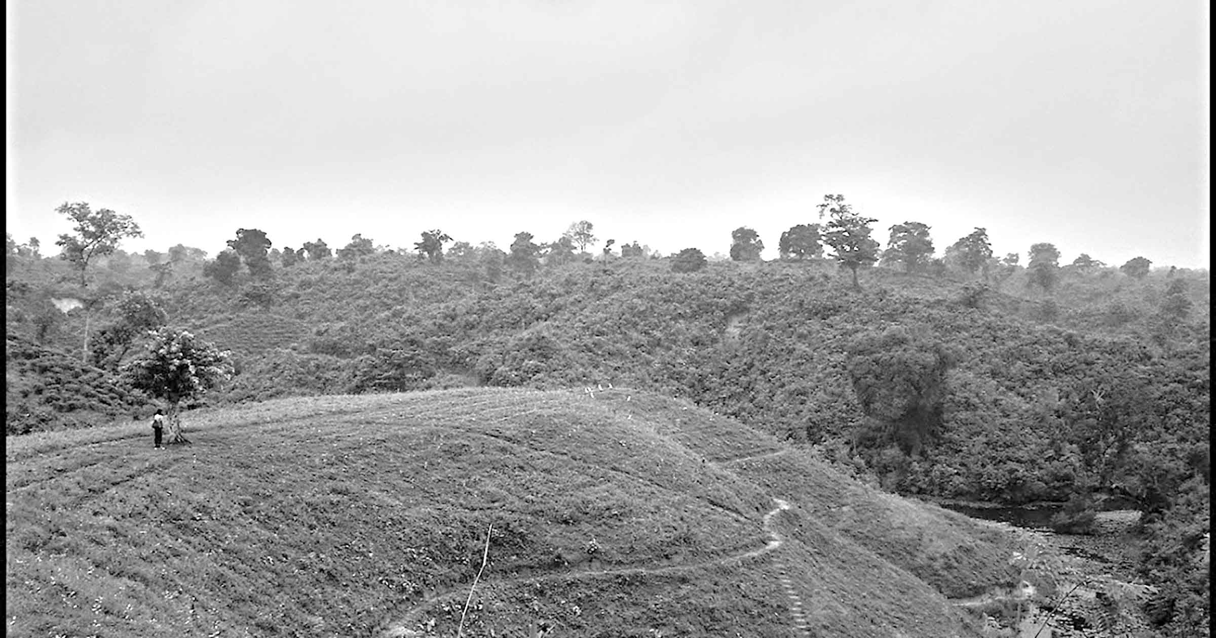 পঞ্চম শ্রেণির ইংরেজি