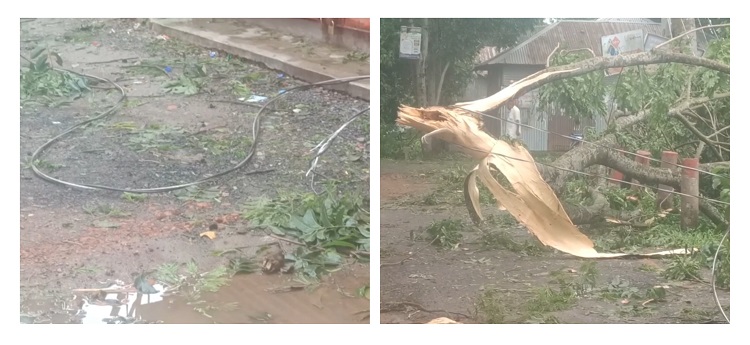 রেমালের তাণ্ডবে শরীয়তপুরের সাড়ে ৩ লাখ গ্রাহক বিদ্যুৎ বিচ্ছিন্ন