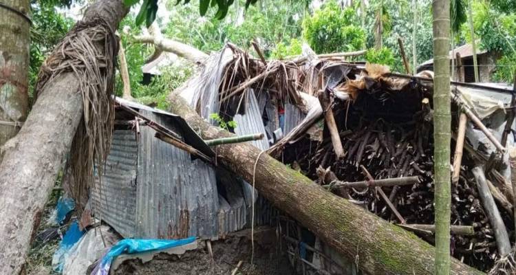 ইন্দুরকানীতে রেমালের তান্ডবে শত শত বাড়ি-ঘর বিধস্ত 