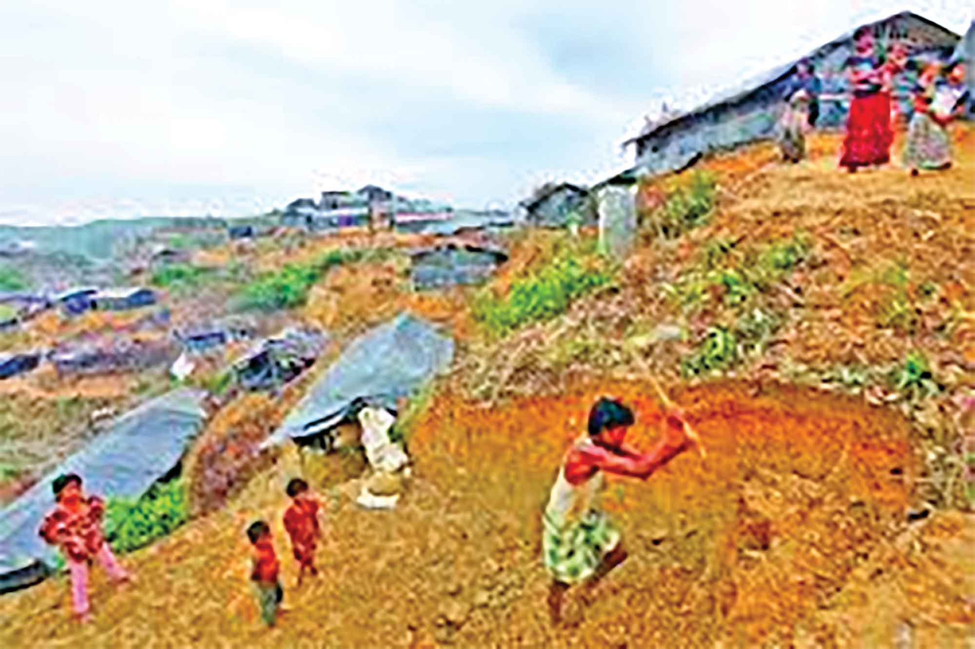 রোহিঙ্গা এলাকায় নষ্ট হওয়া বন উন্নয়নে উদ্যোগ গ্রহণ