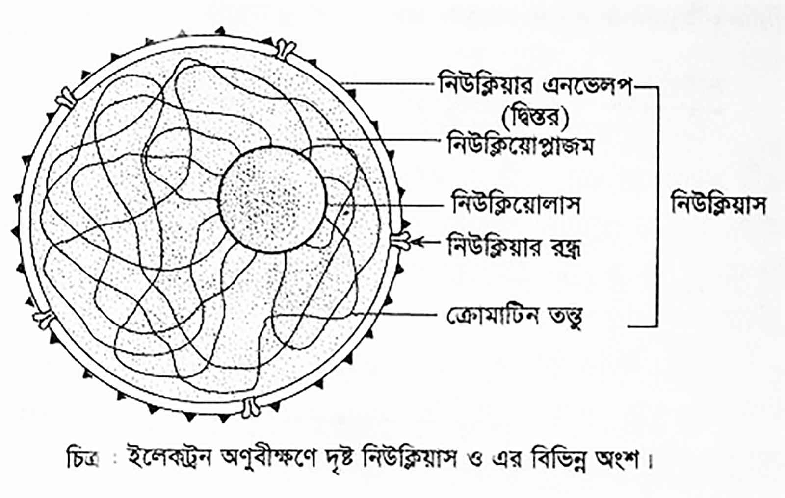 জানার আছে অনেক কিছু
