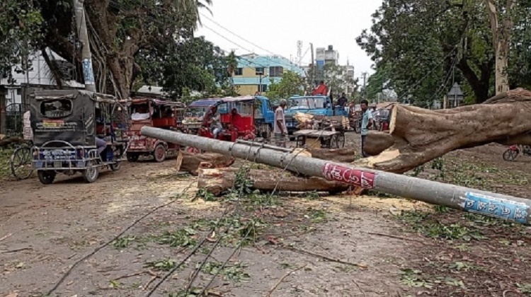 দিনাজপুরে মধ্যরাতে কালবৈশাখীর তাণ্ডবে ব্যাপক ক্ষতি