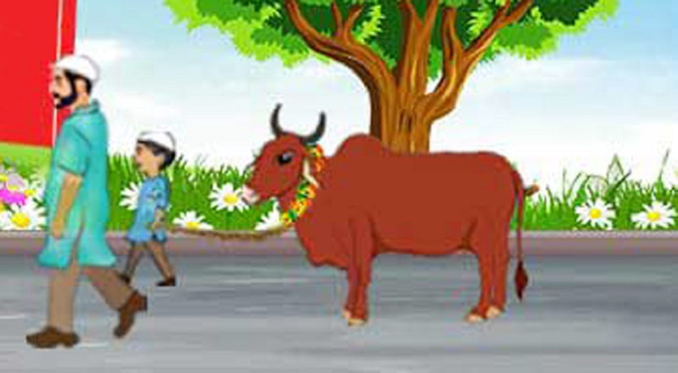 কোরবানির মাংস তিন ভাগ করা কি জরুরি?