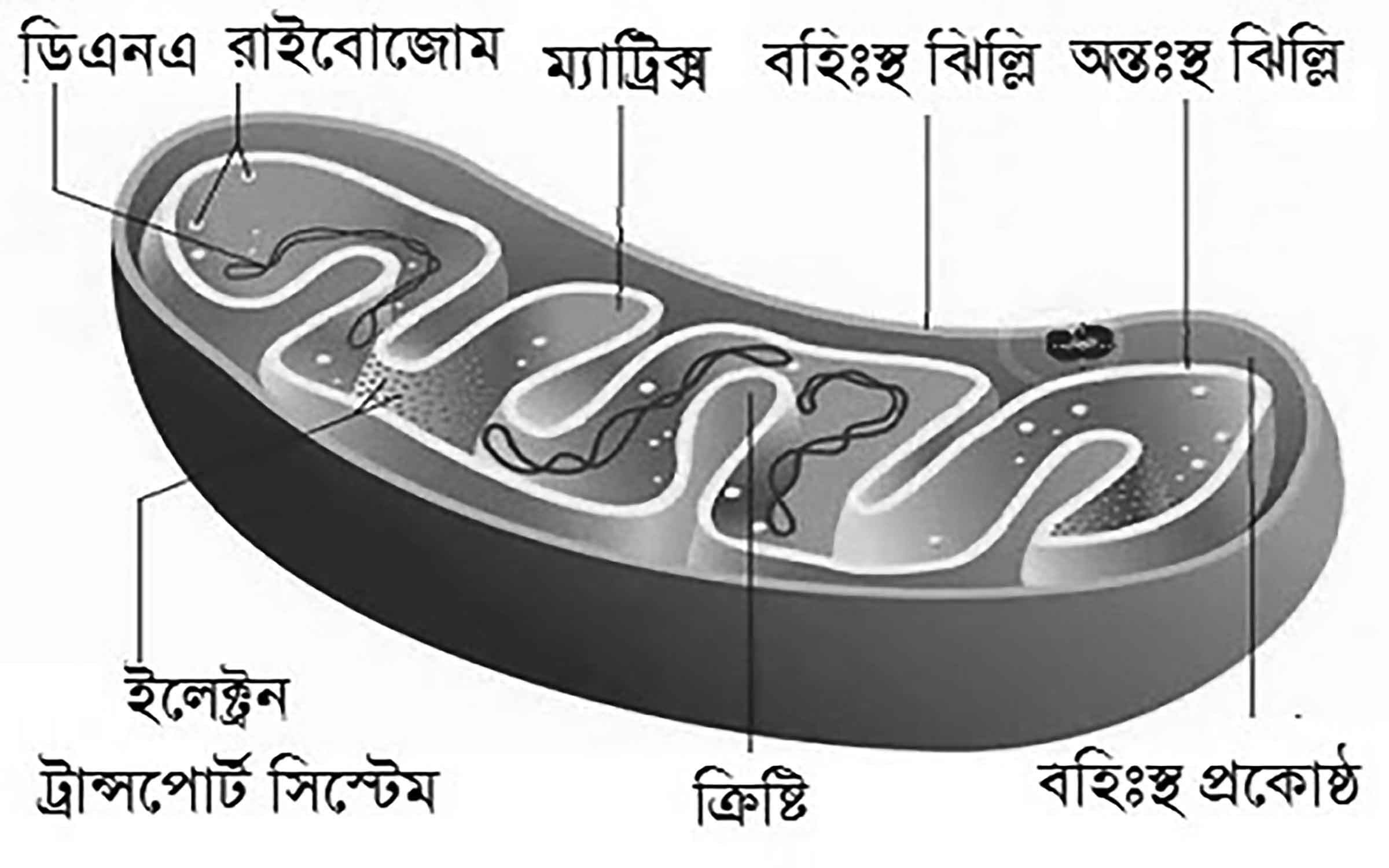 জানার আছে অনেক কিছু