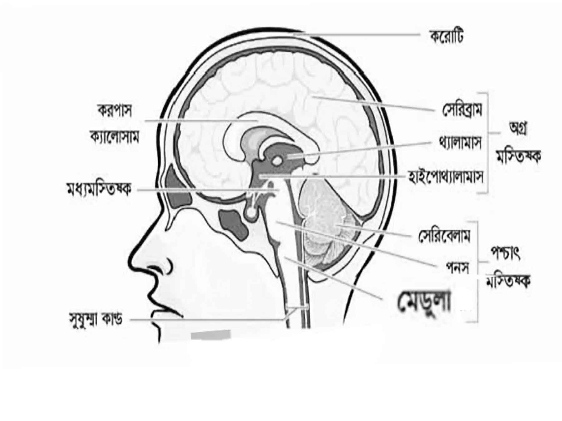 জানার আছে অনেক কিছু