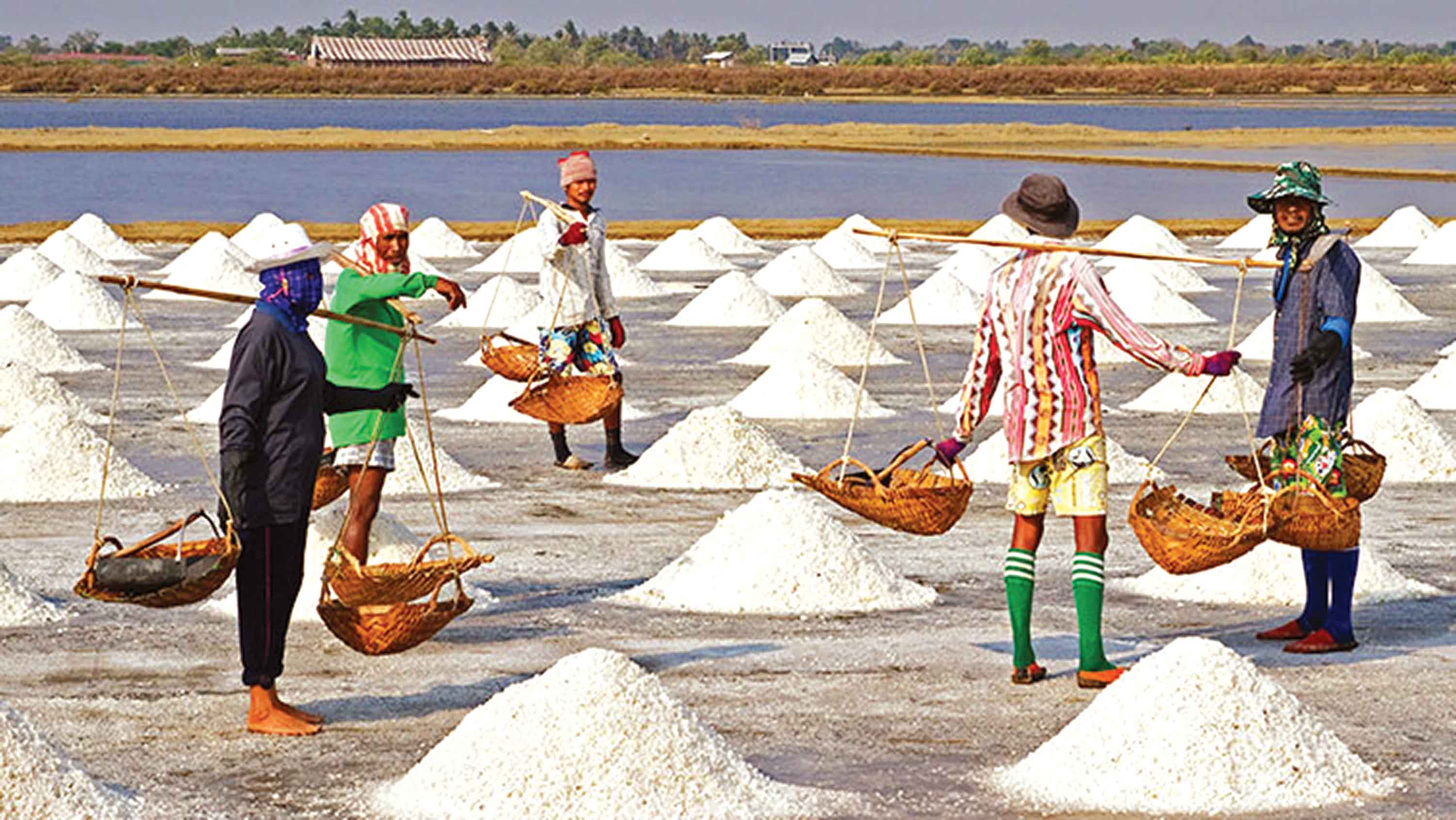 ৬৪ বছরের মধ্যে দেশে সর্বোচ্চ লবণ উৎপাদন