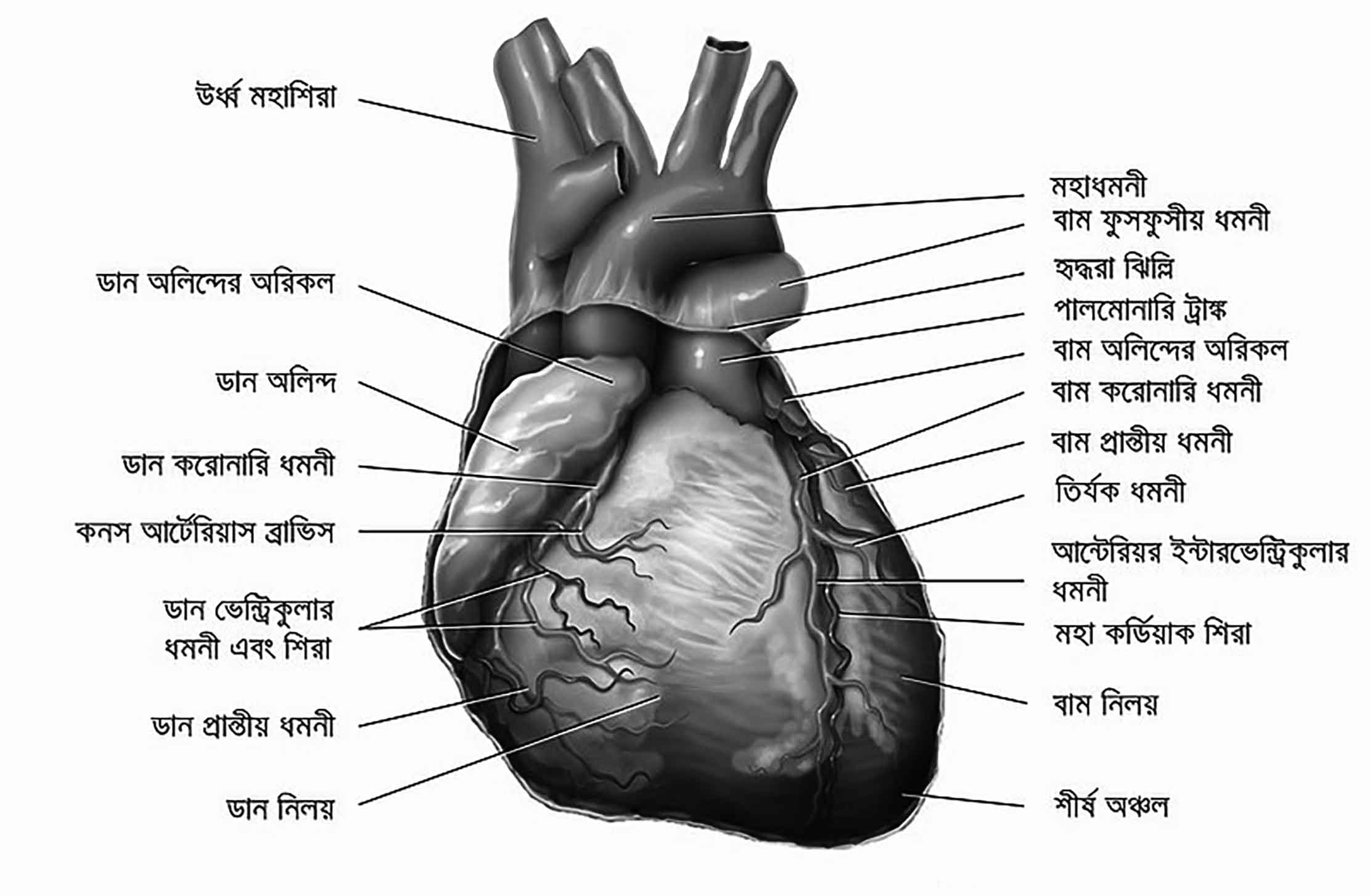 জানার আছে অনেক কিছু