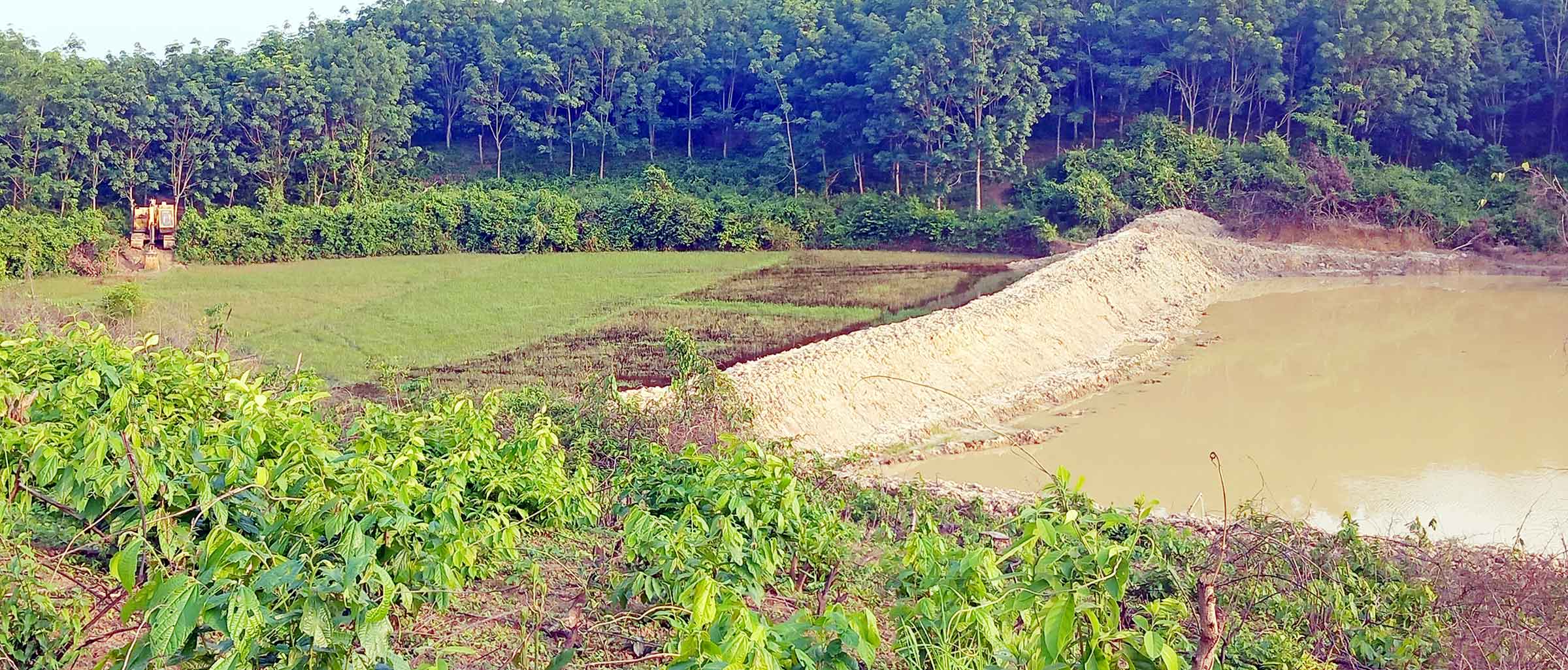 রাউজানে ভেকু দিয়ে কাটা হচ্ছে হলদিয়া রাবার বাগানের কৃষি জমি