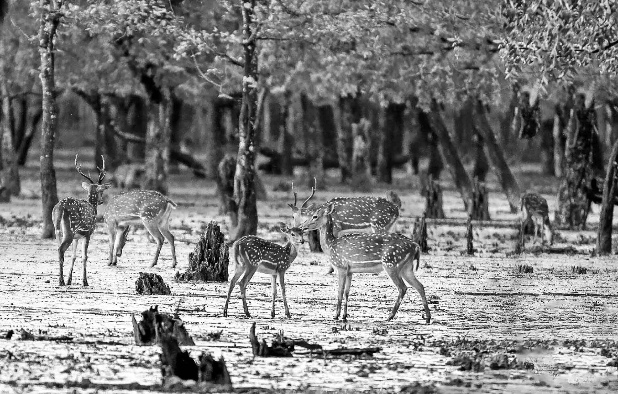 জানার আছে অনেক কিছু