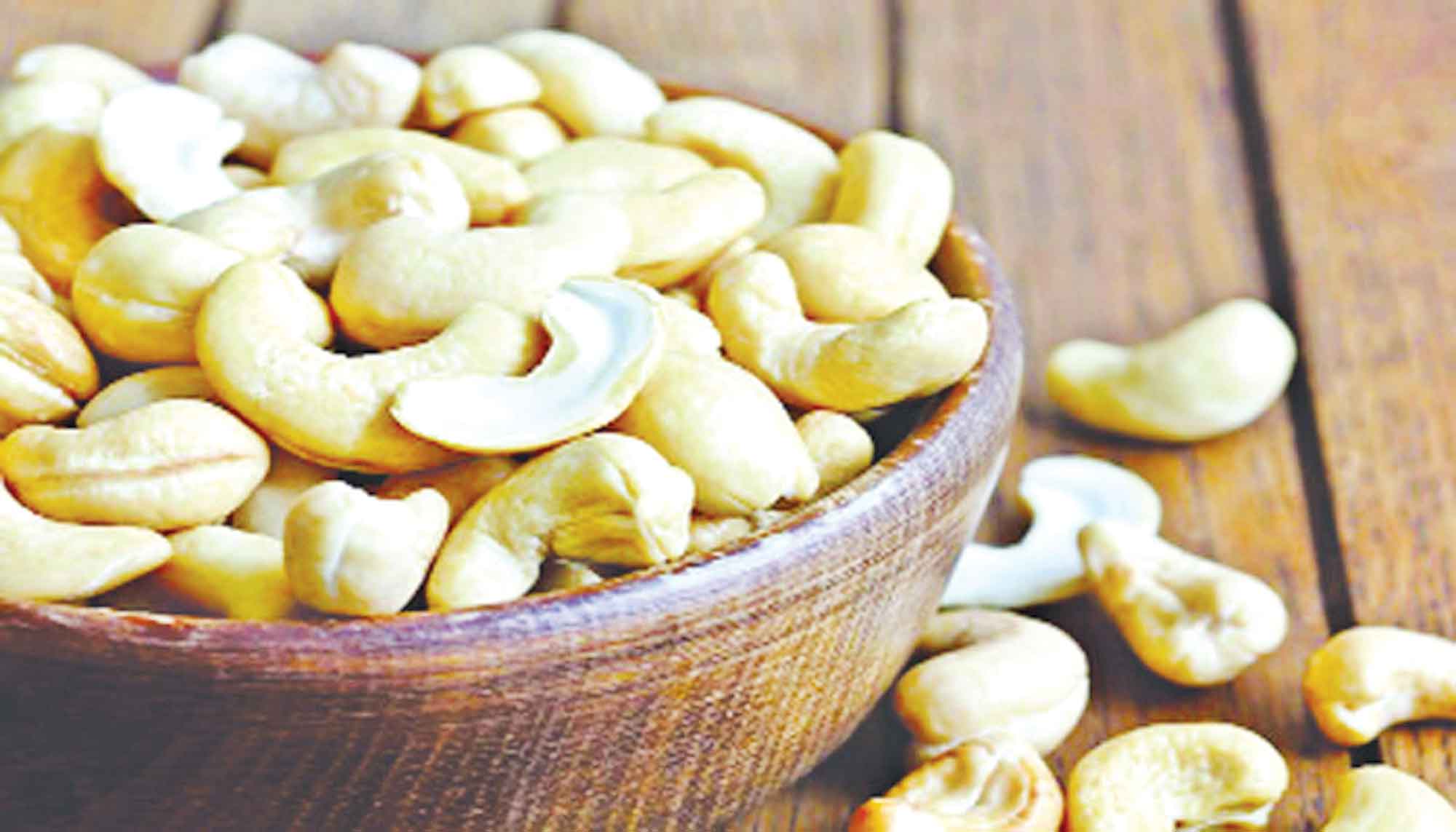 কাজুবাদাম চাষে হতে পারে সম্ভাবনার এক নতুন দিগন্ত
